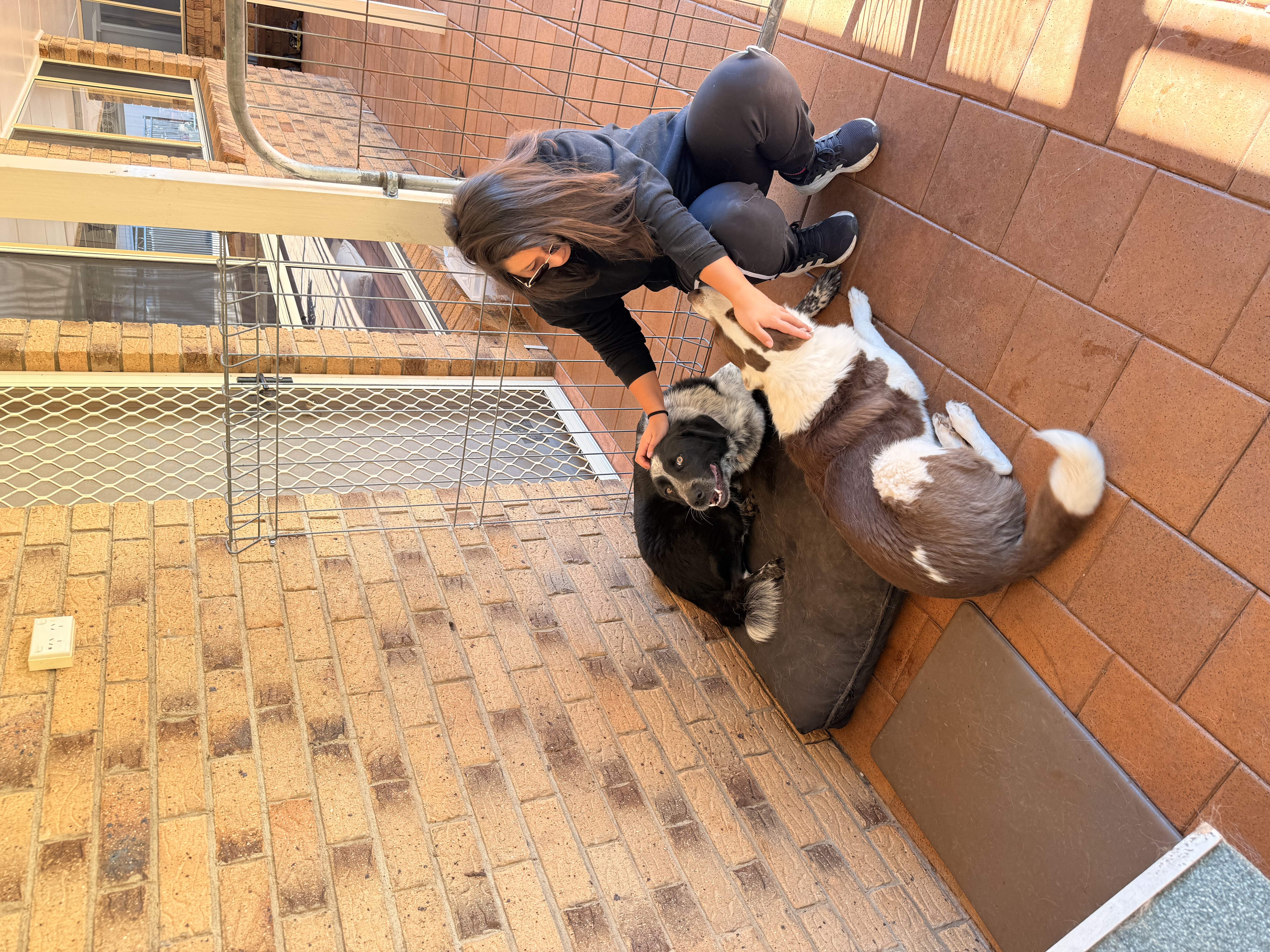 image-6