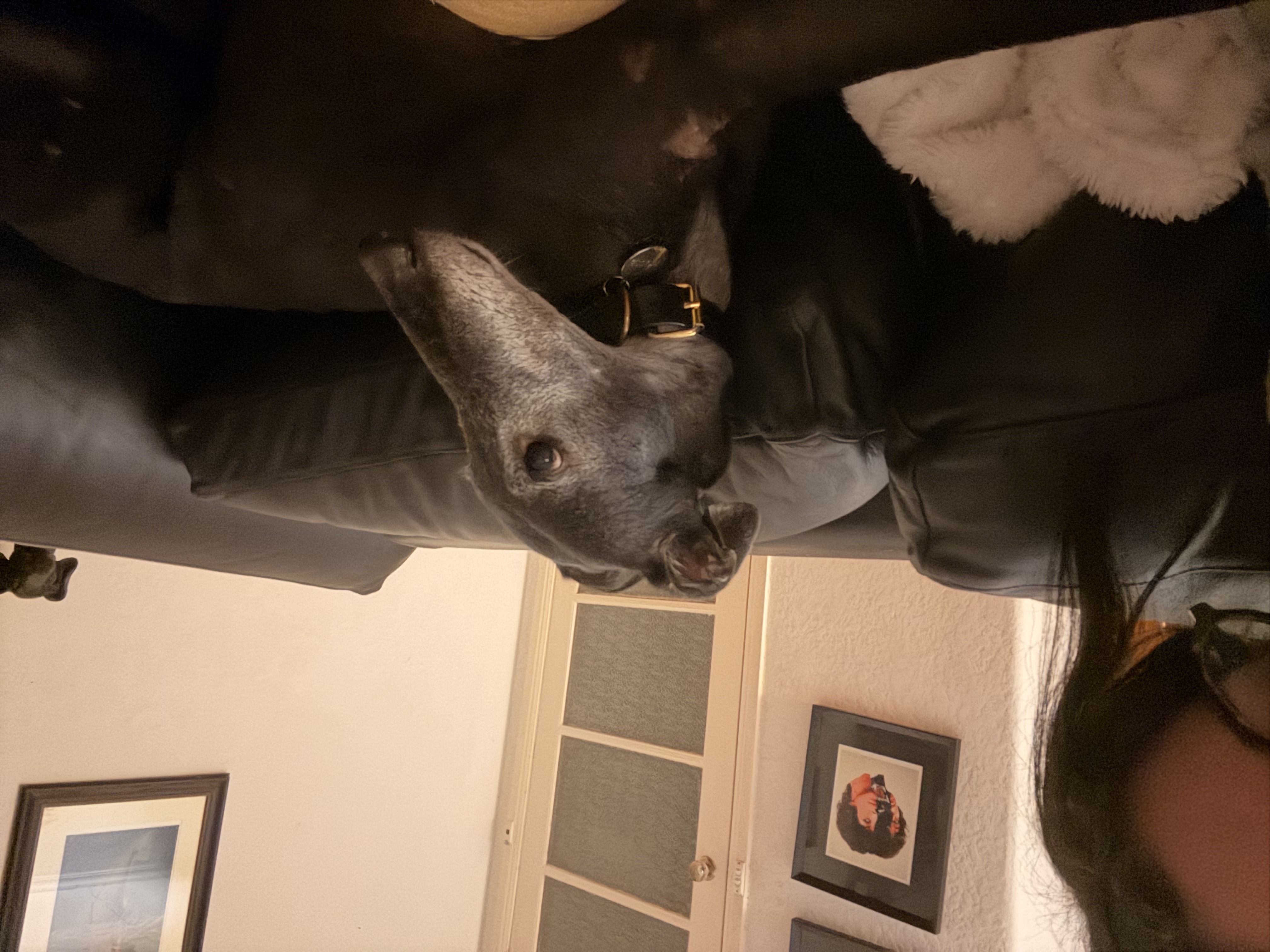 image-6