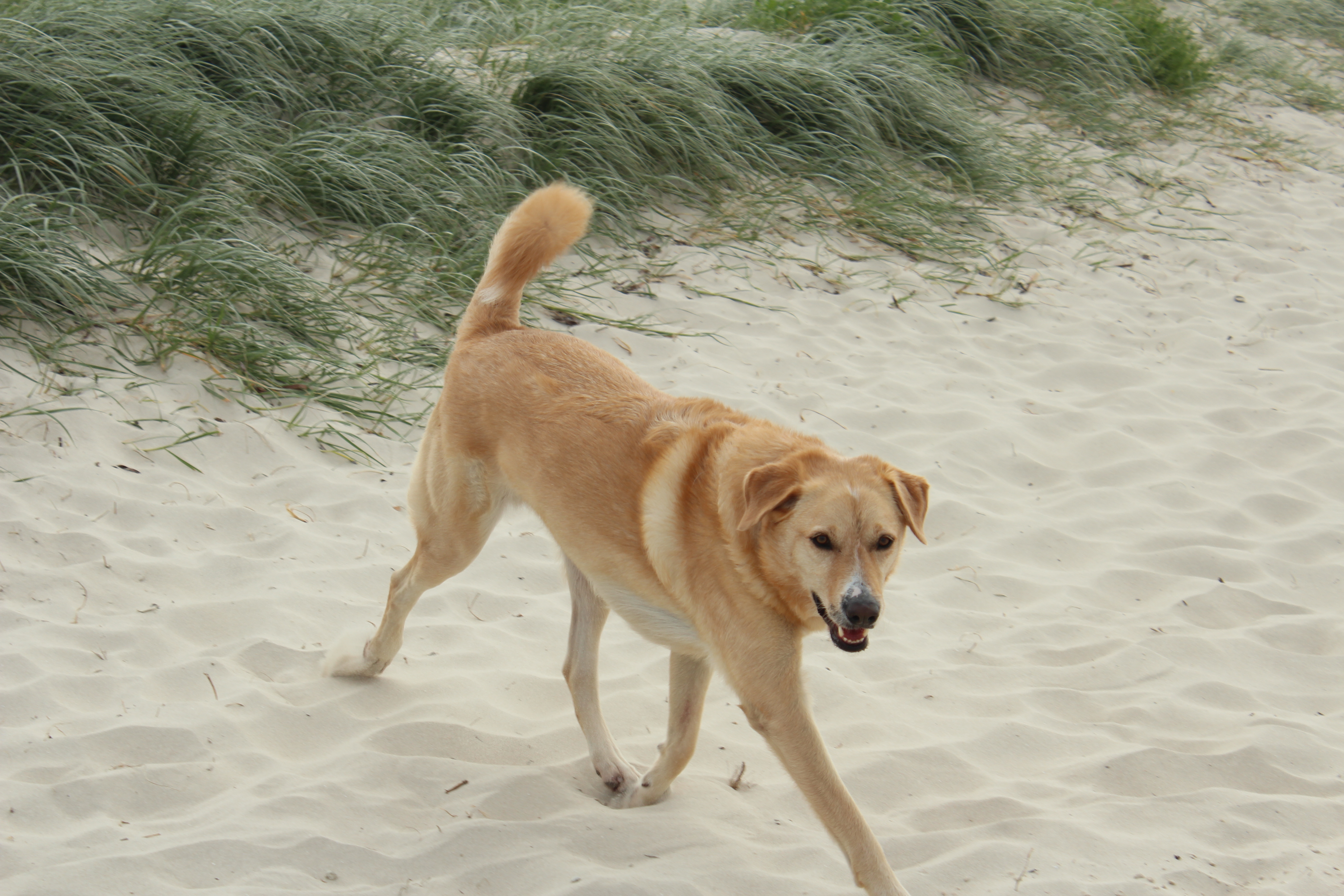 image-6