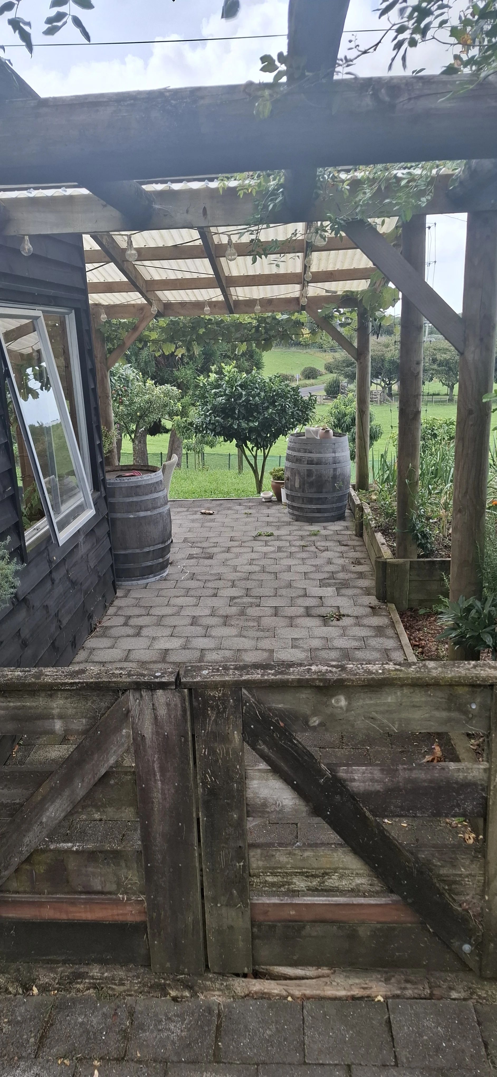 image-19