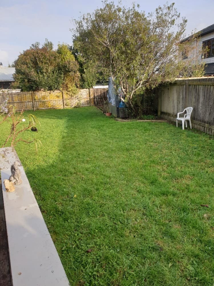 image-4