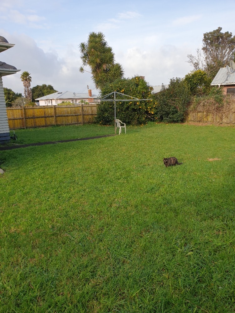 image-5