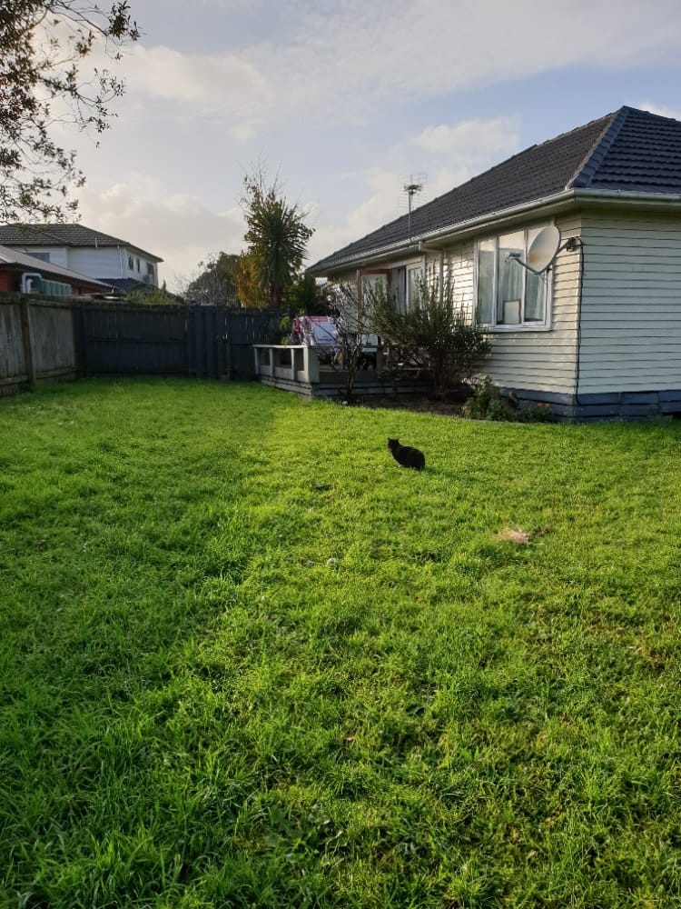 image-7