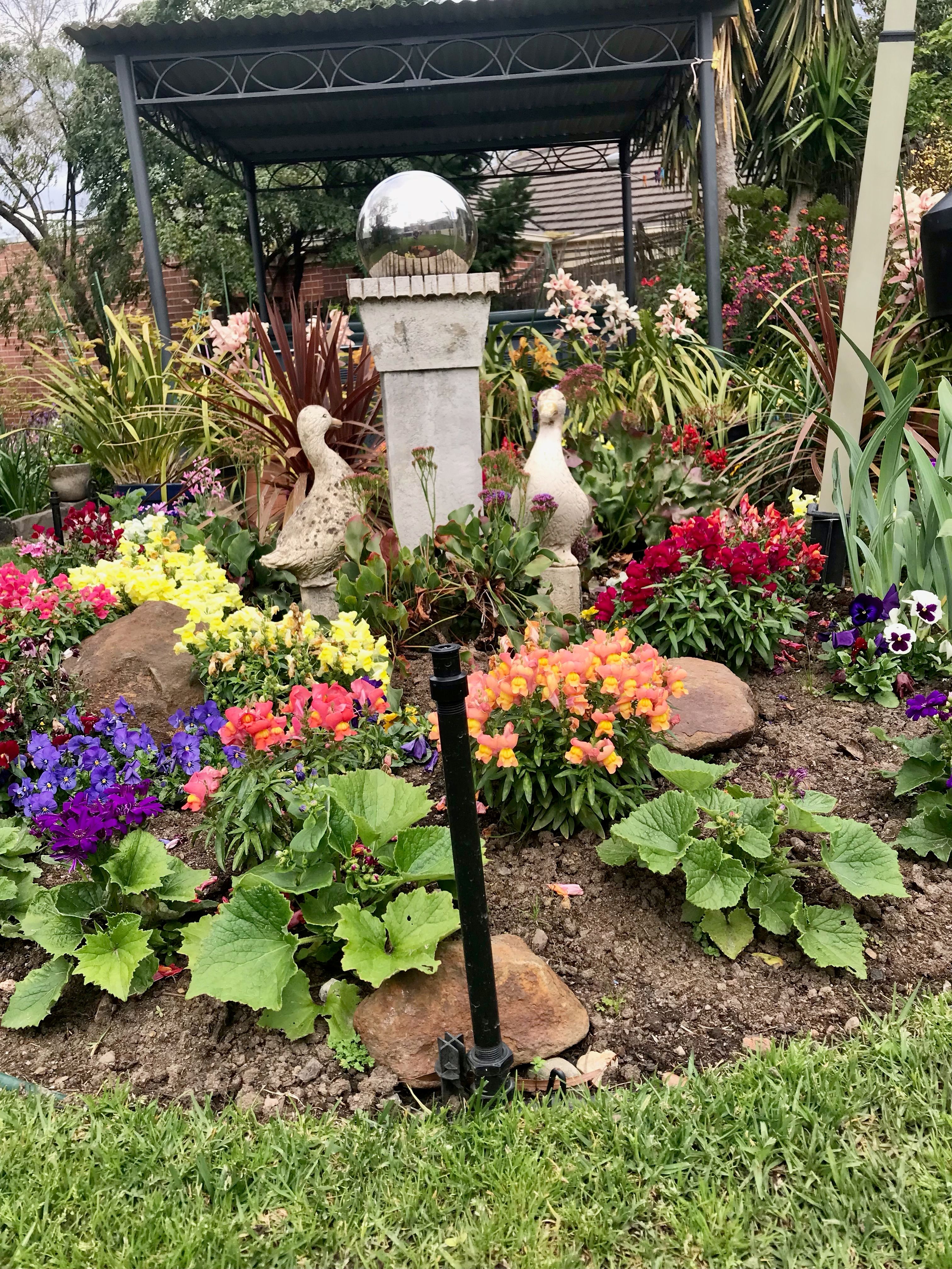 image-10