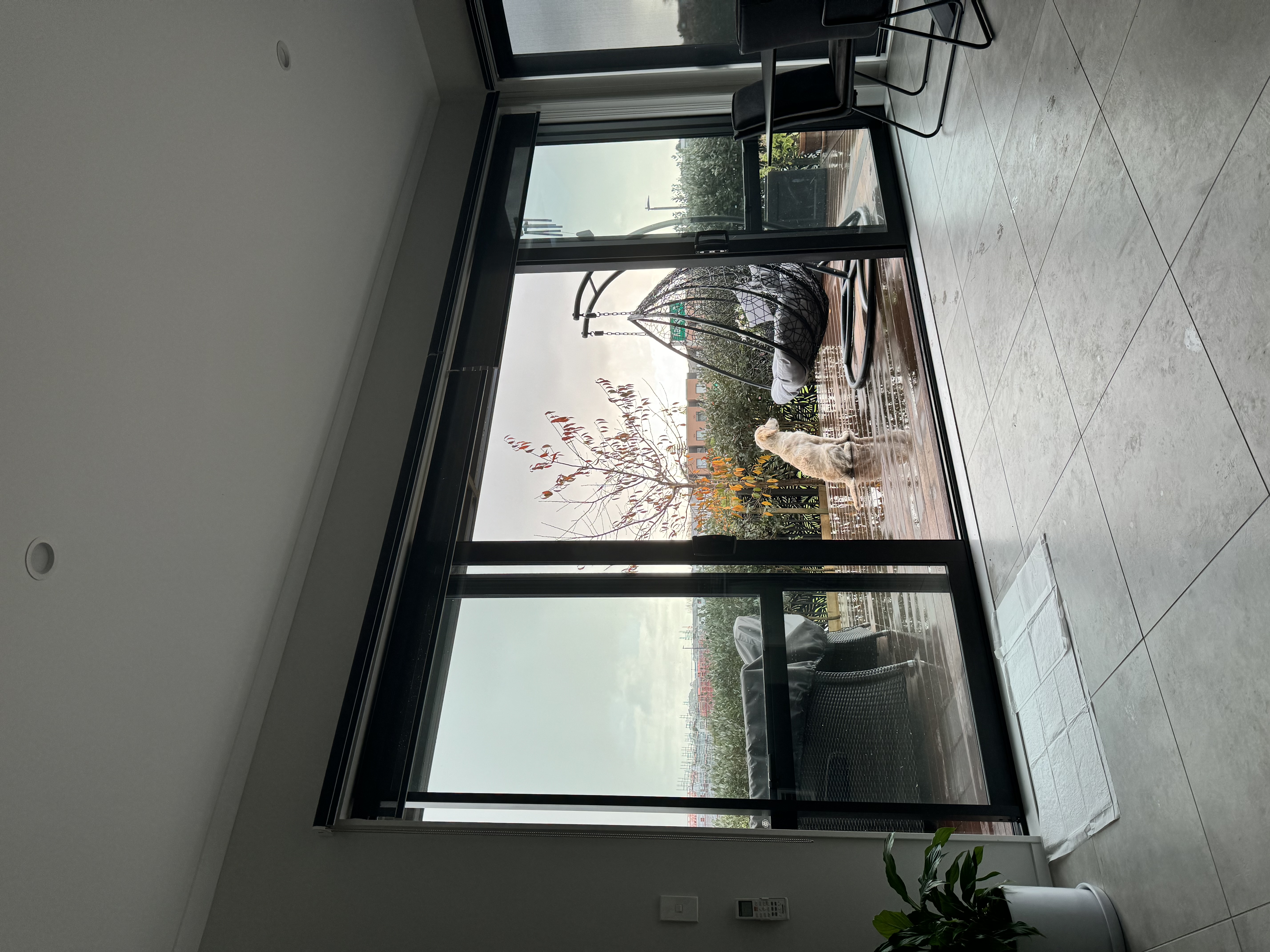 image-18