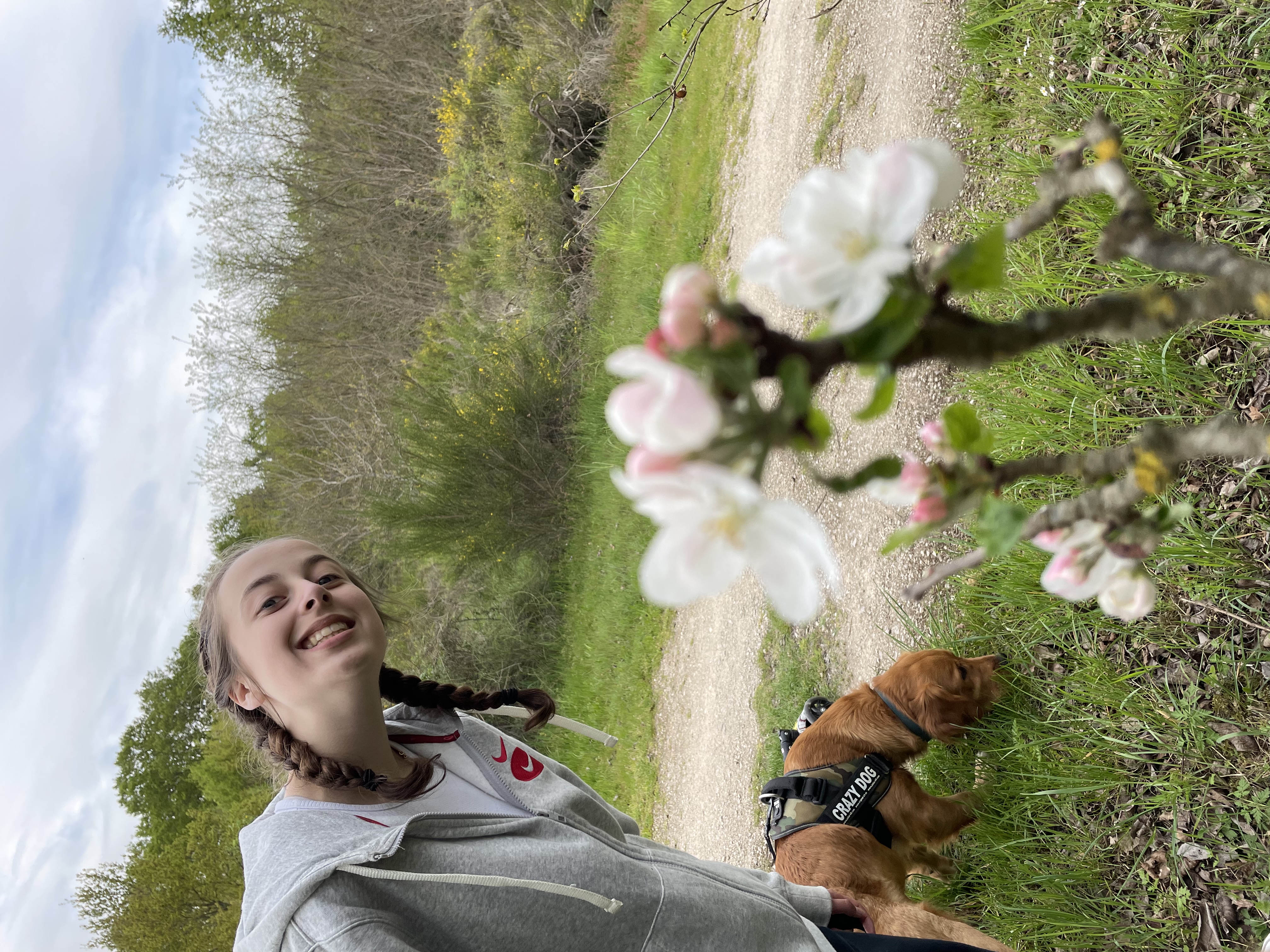 image-7