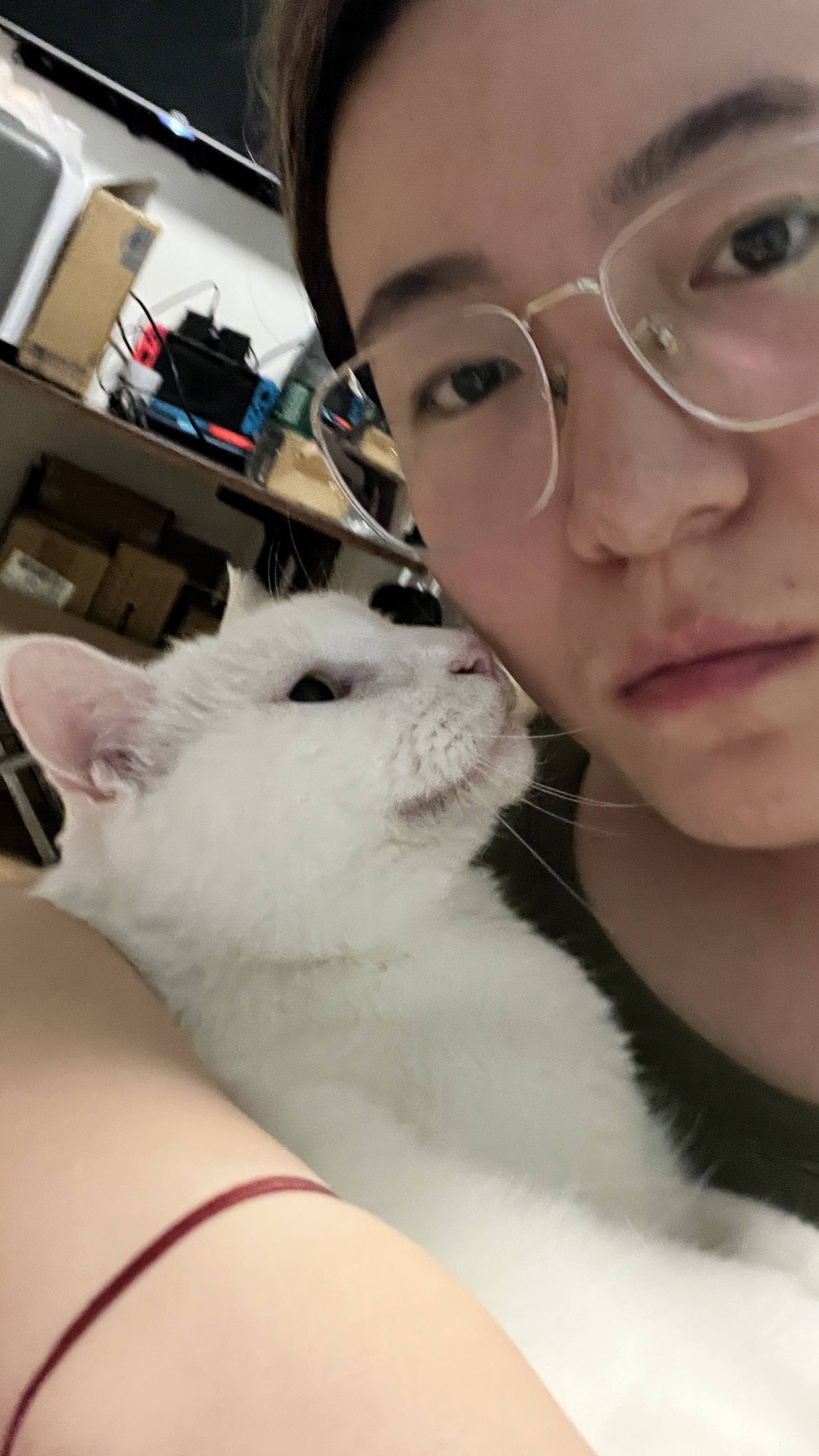 image-7