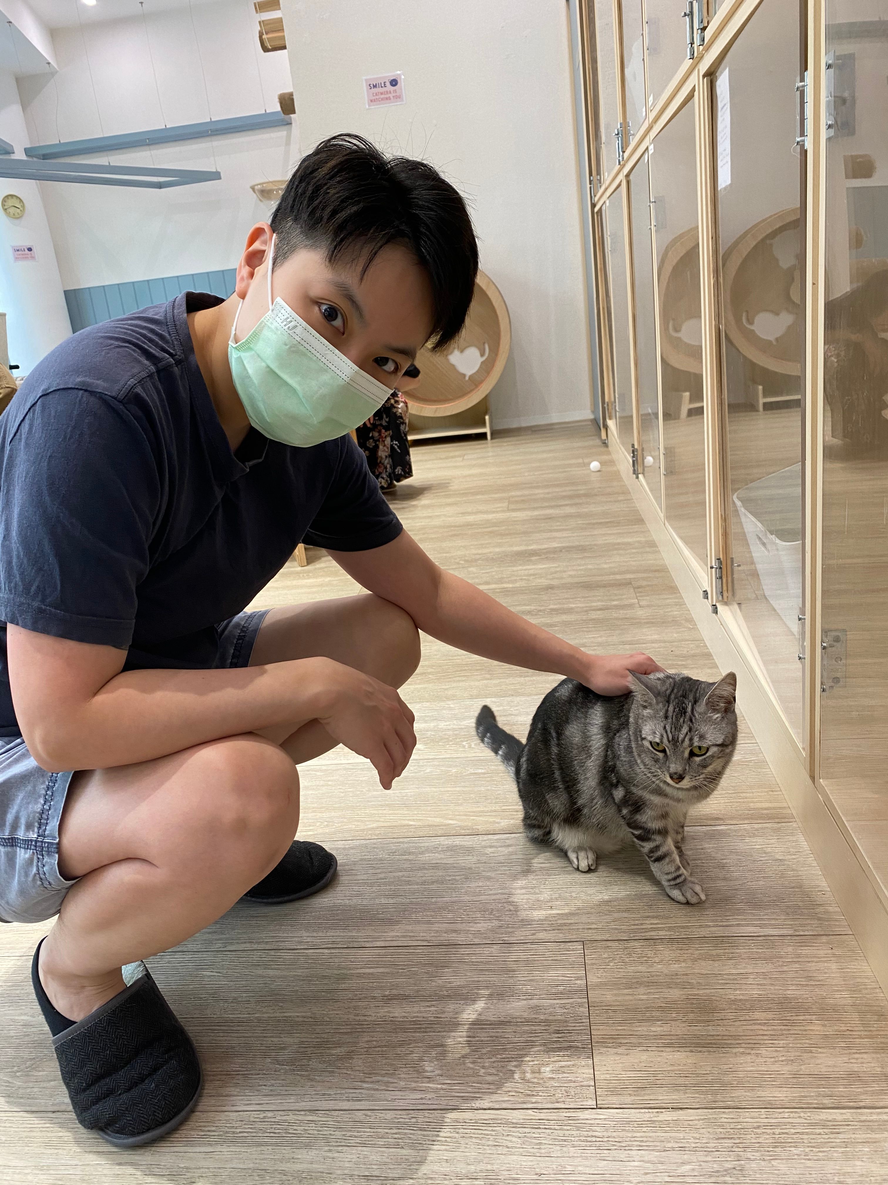 image-7