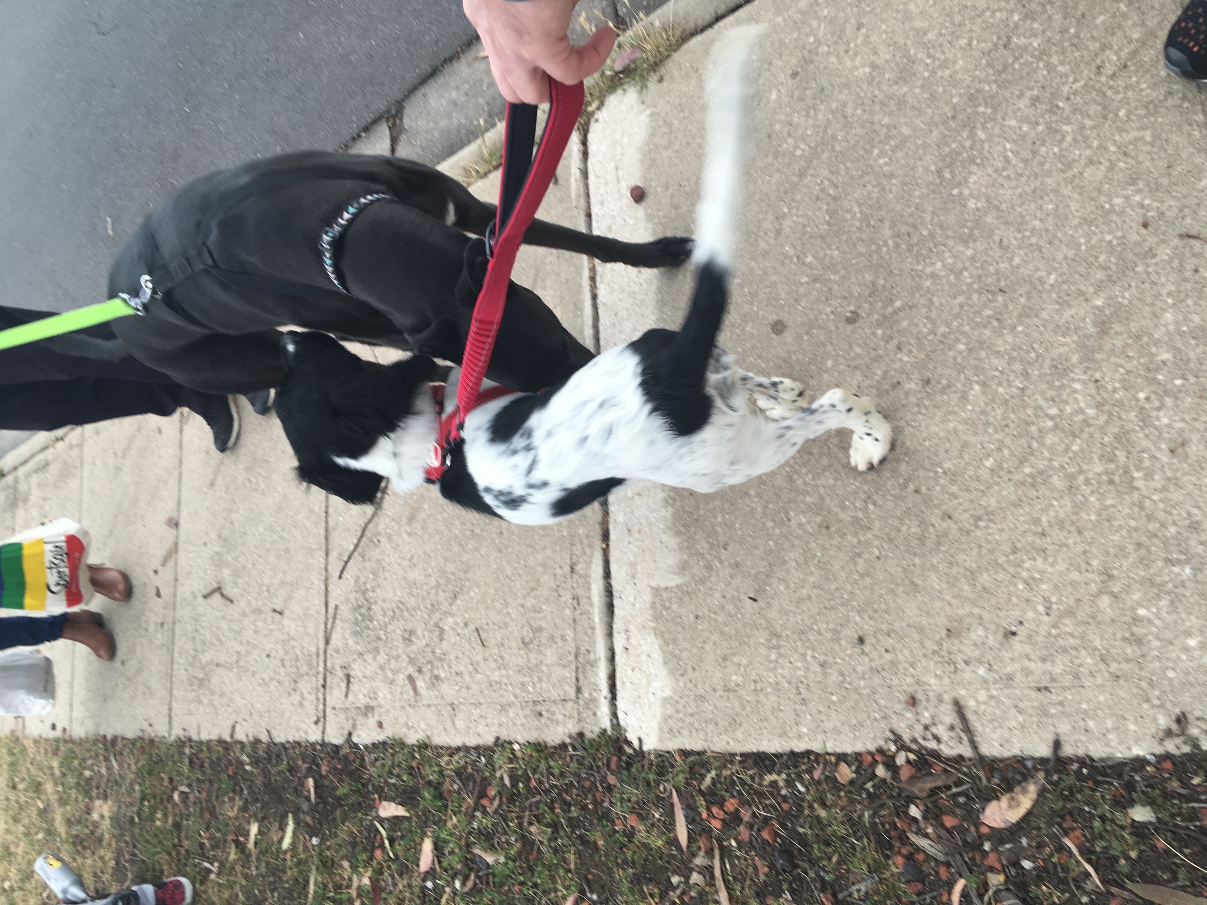 image-10