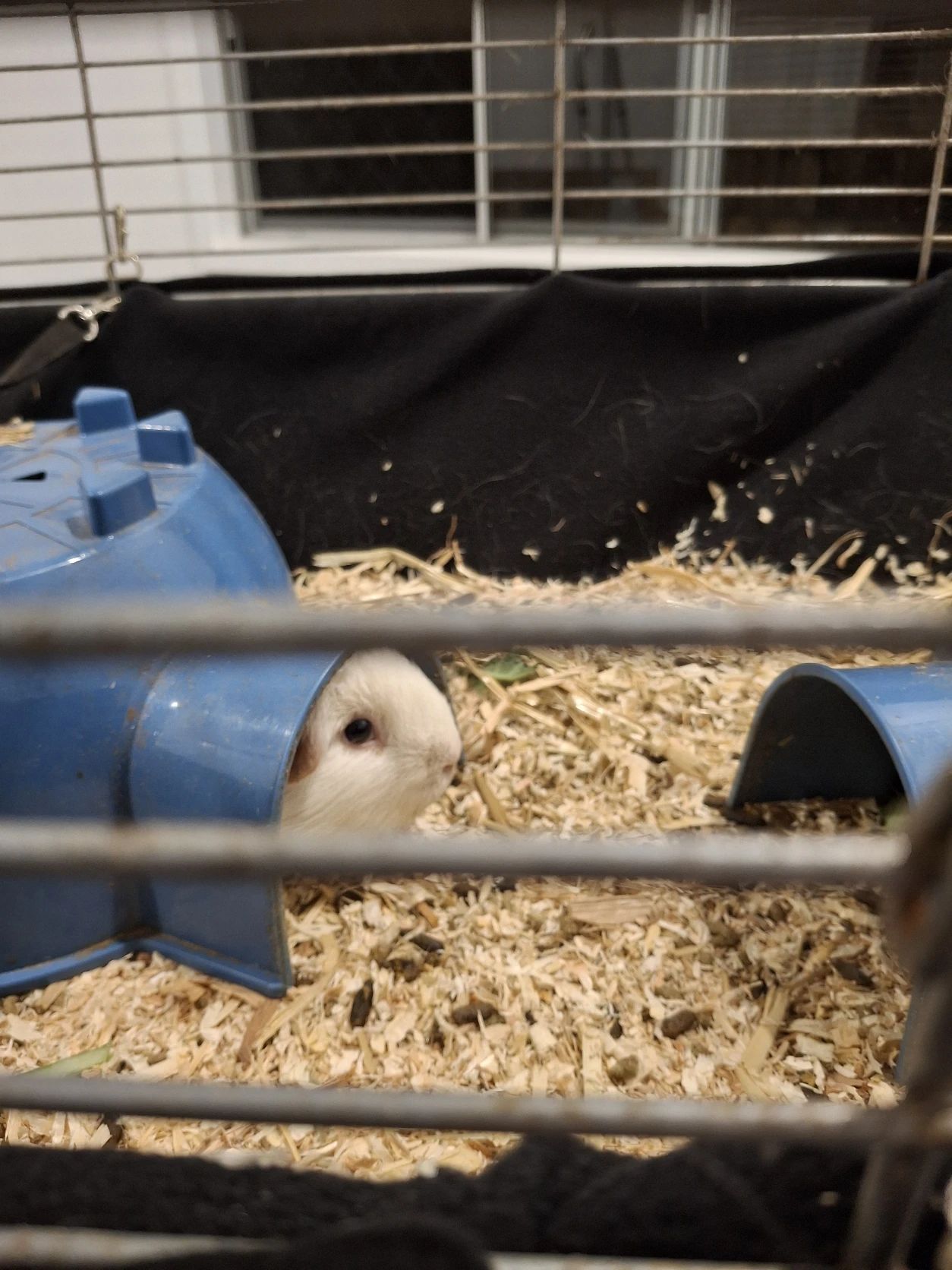 image-18