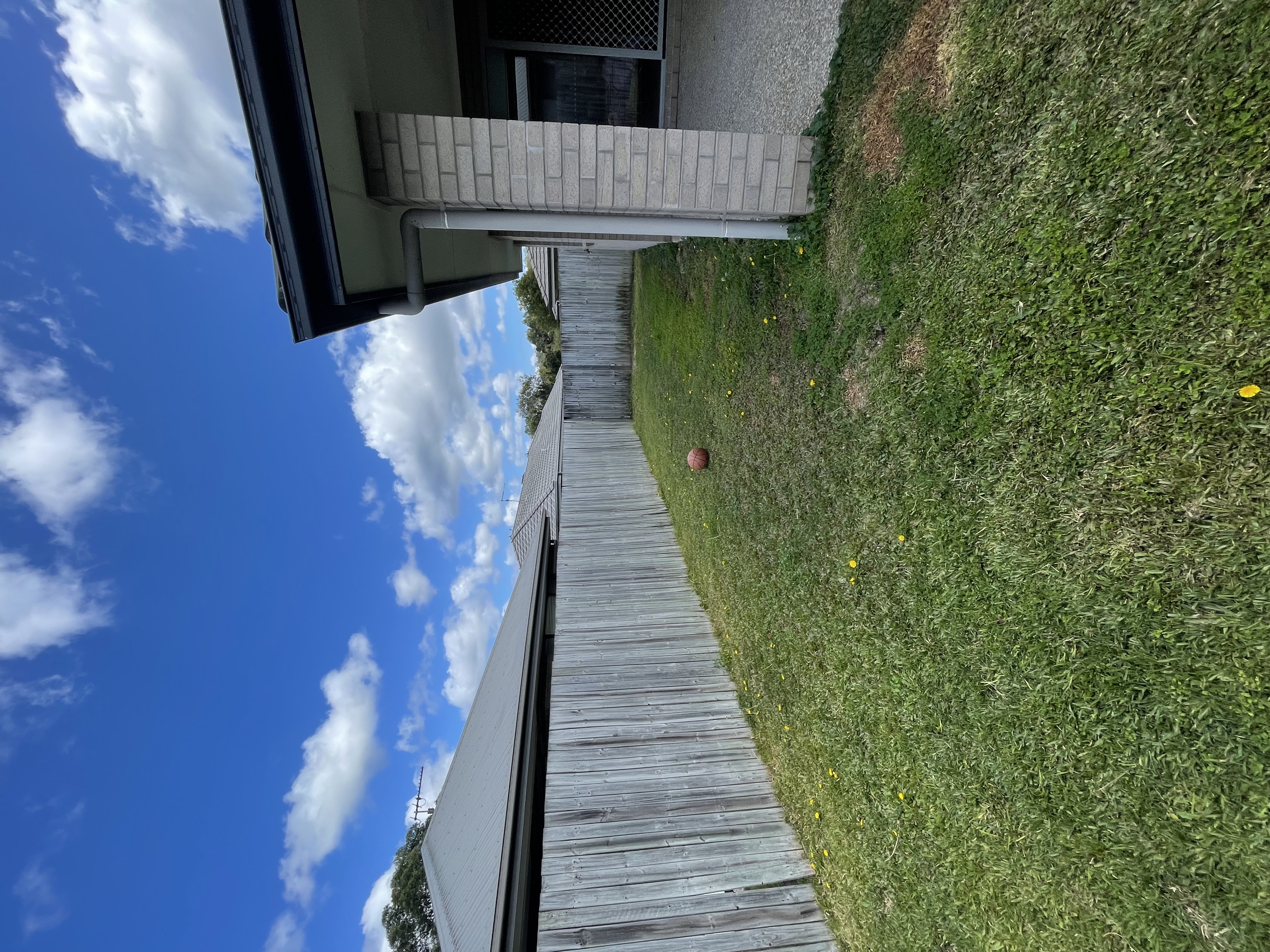 image-19