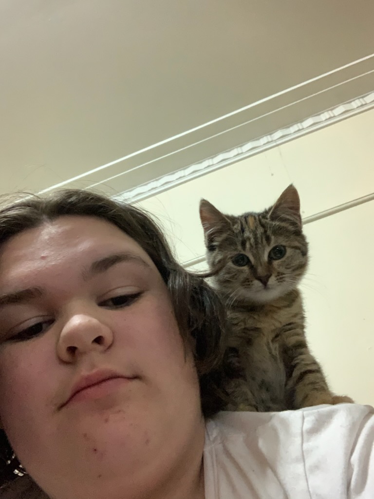 image-8