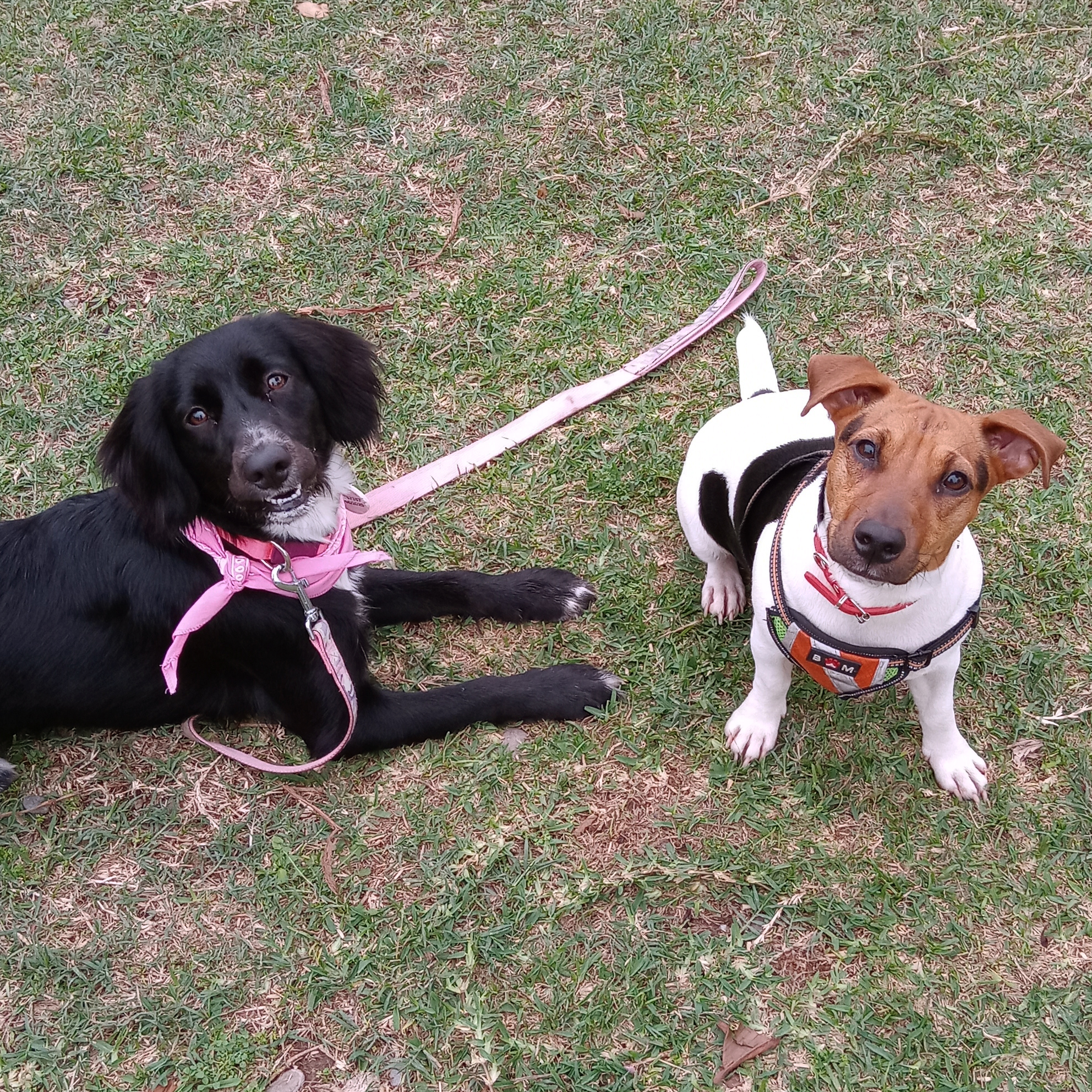 image-5