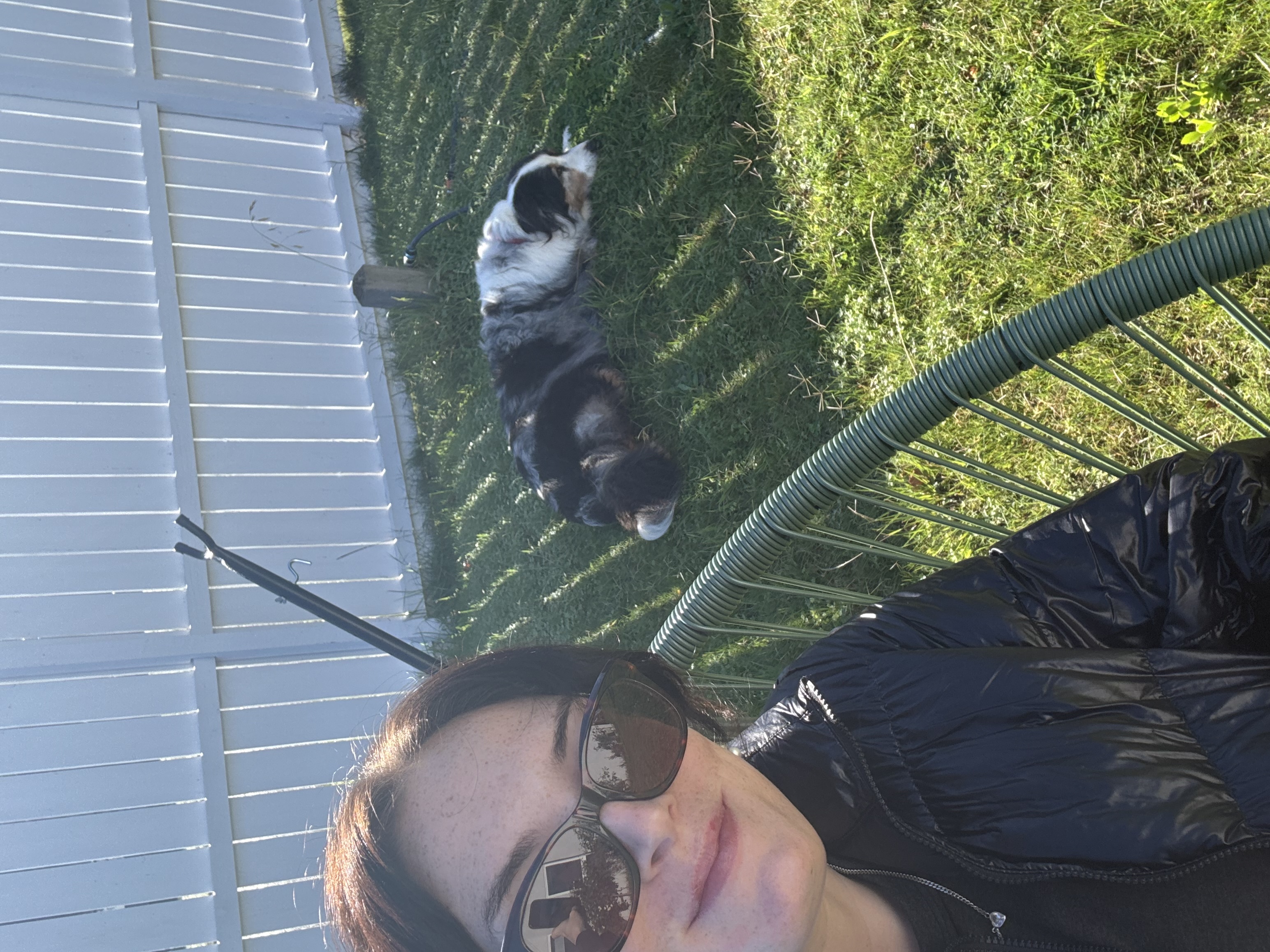 image-11