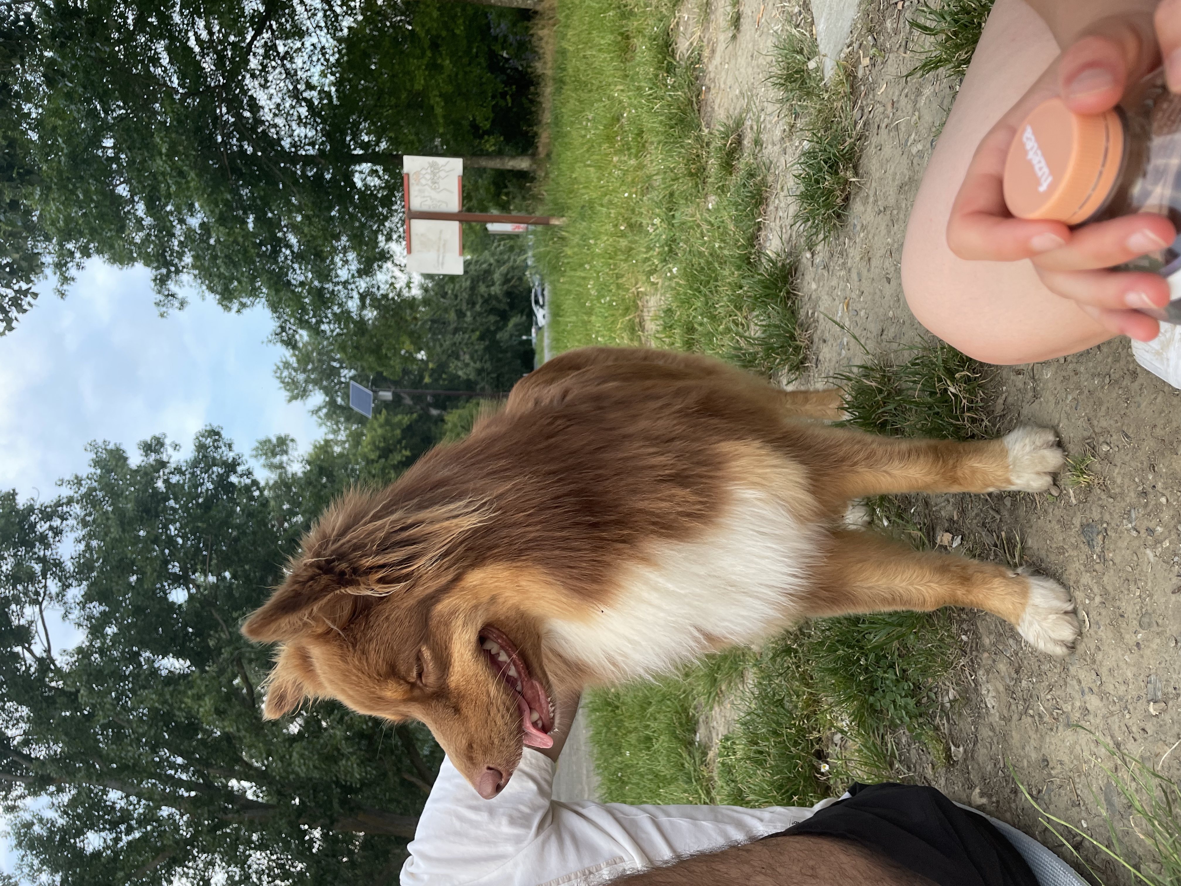 image-15