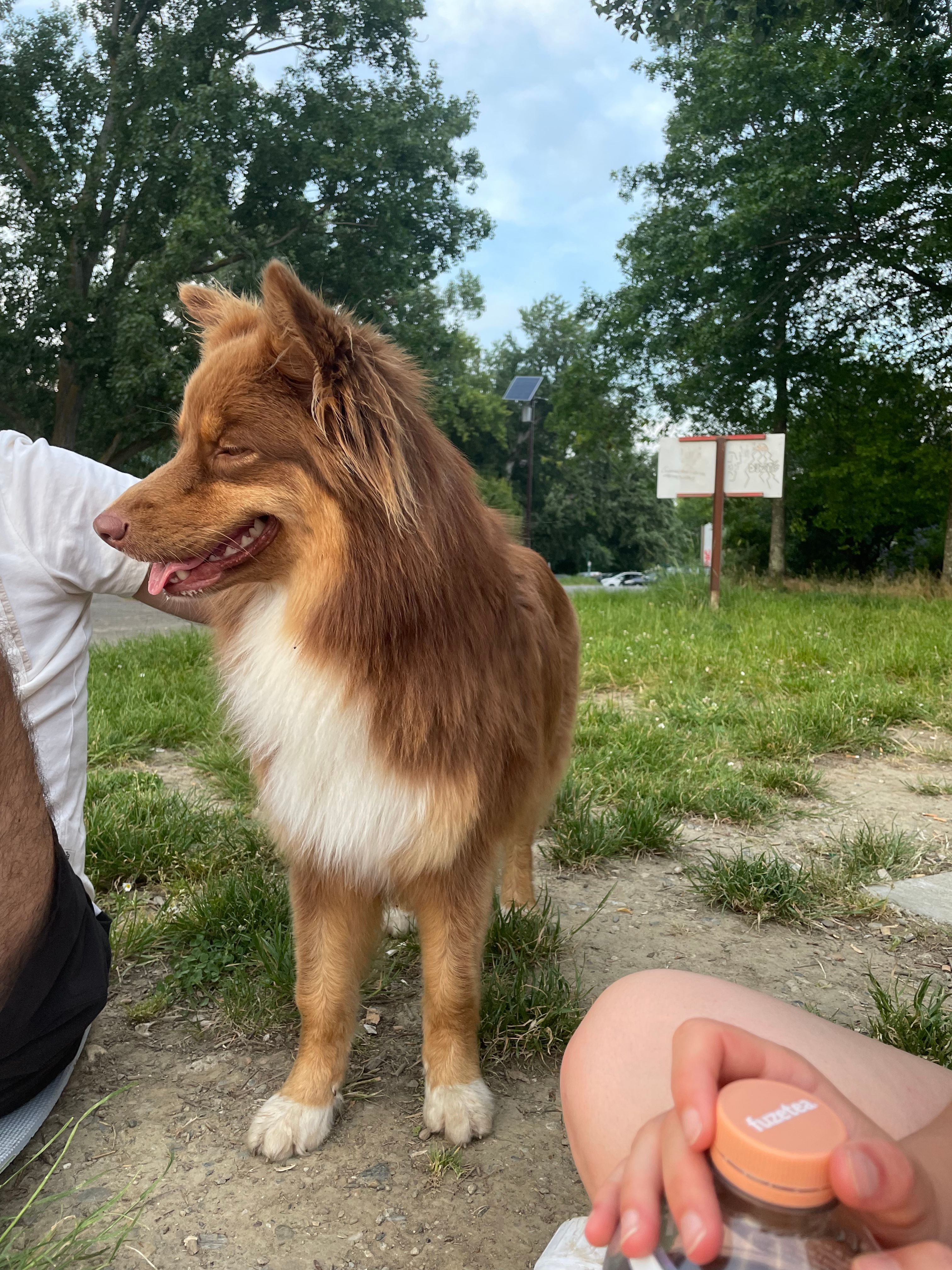image-15