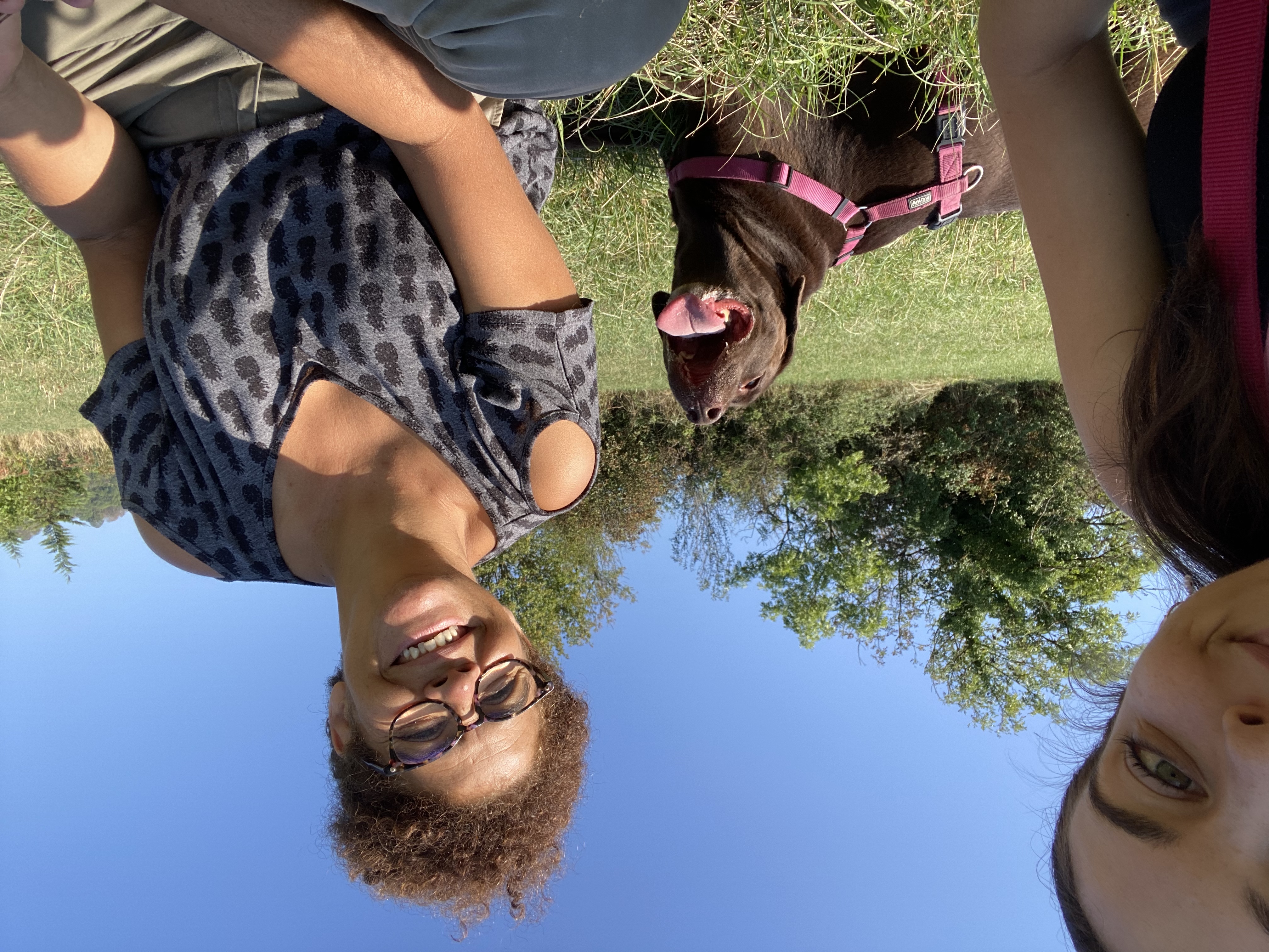 image-14