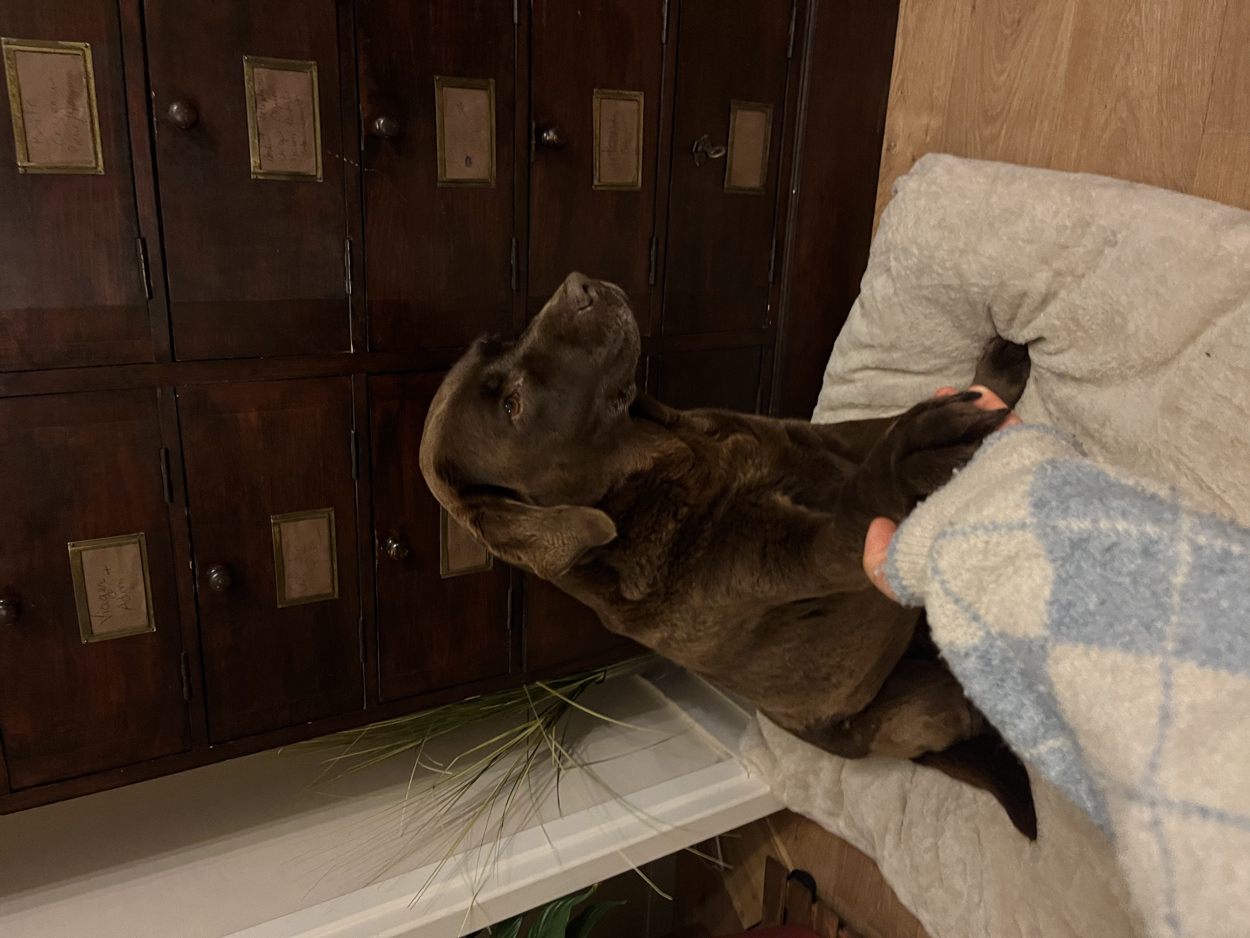 image-8