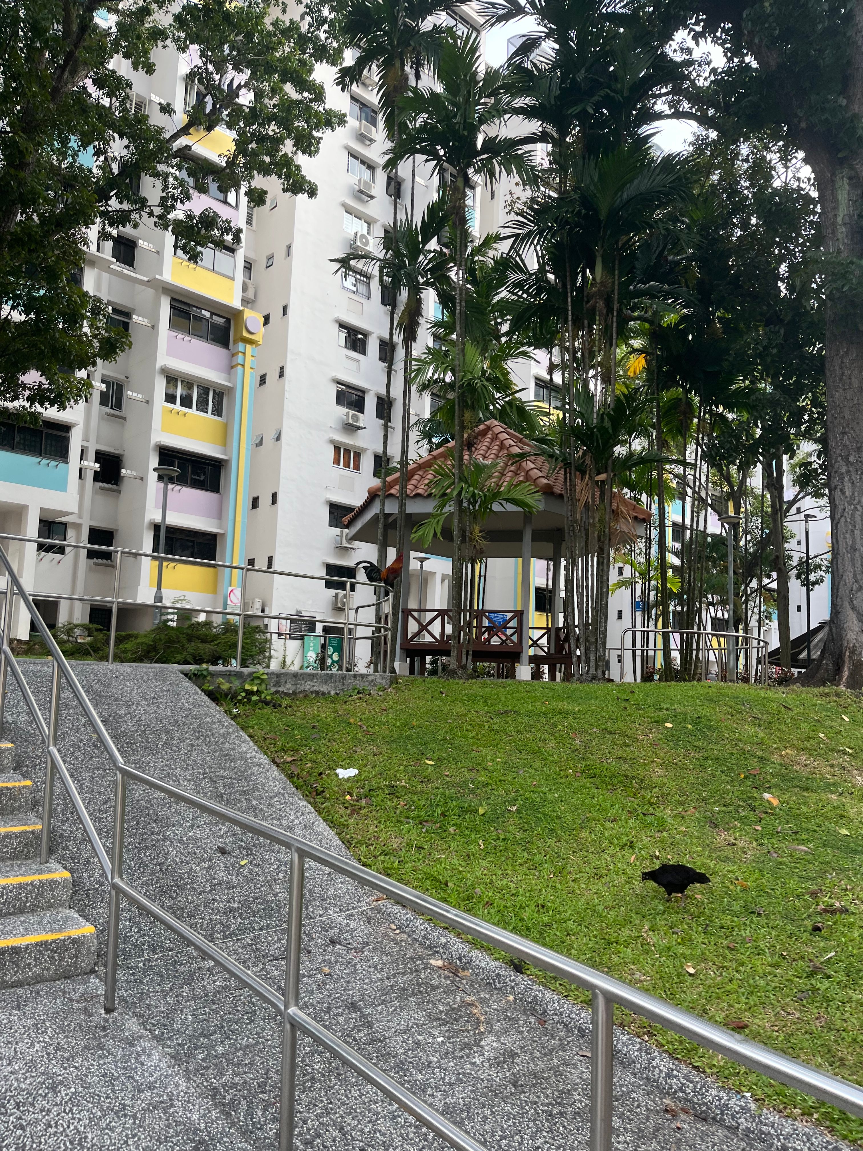 image-20