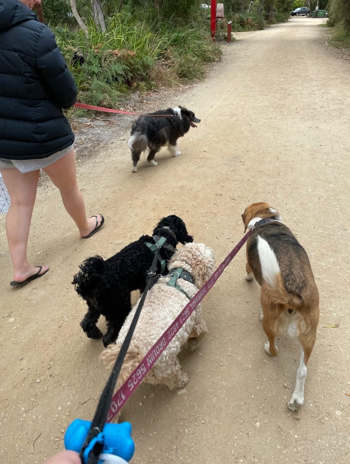 image-3