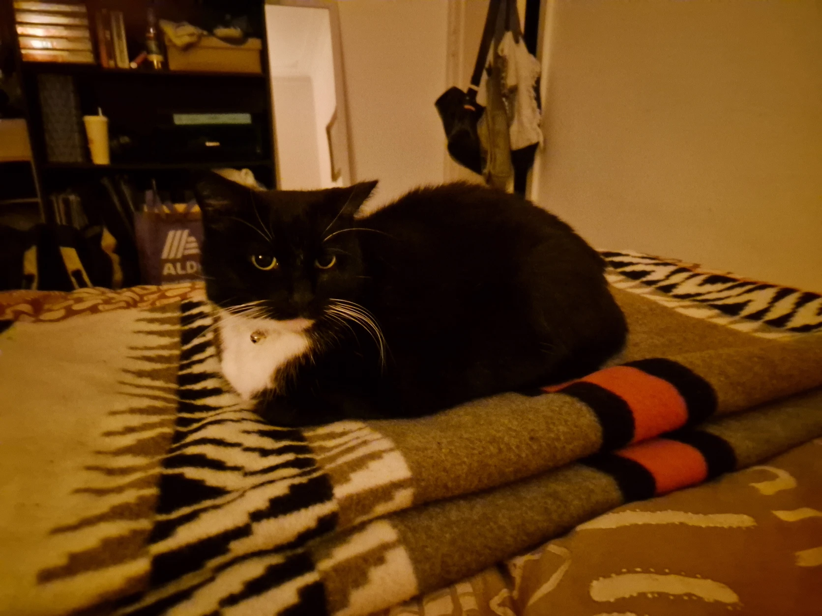 image-15