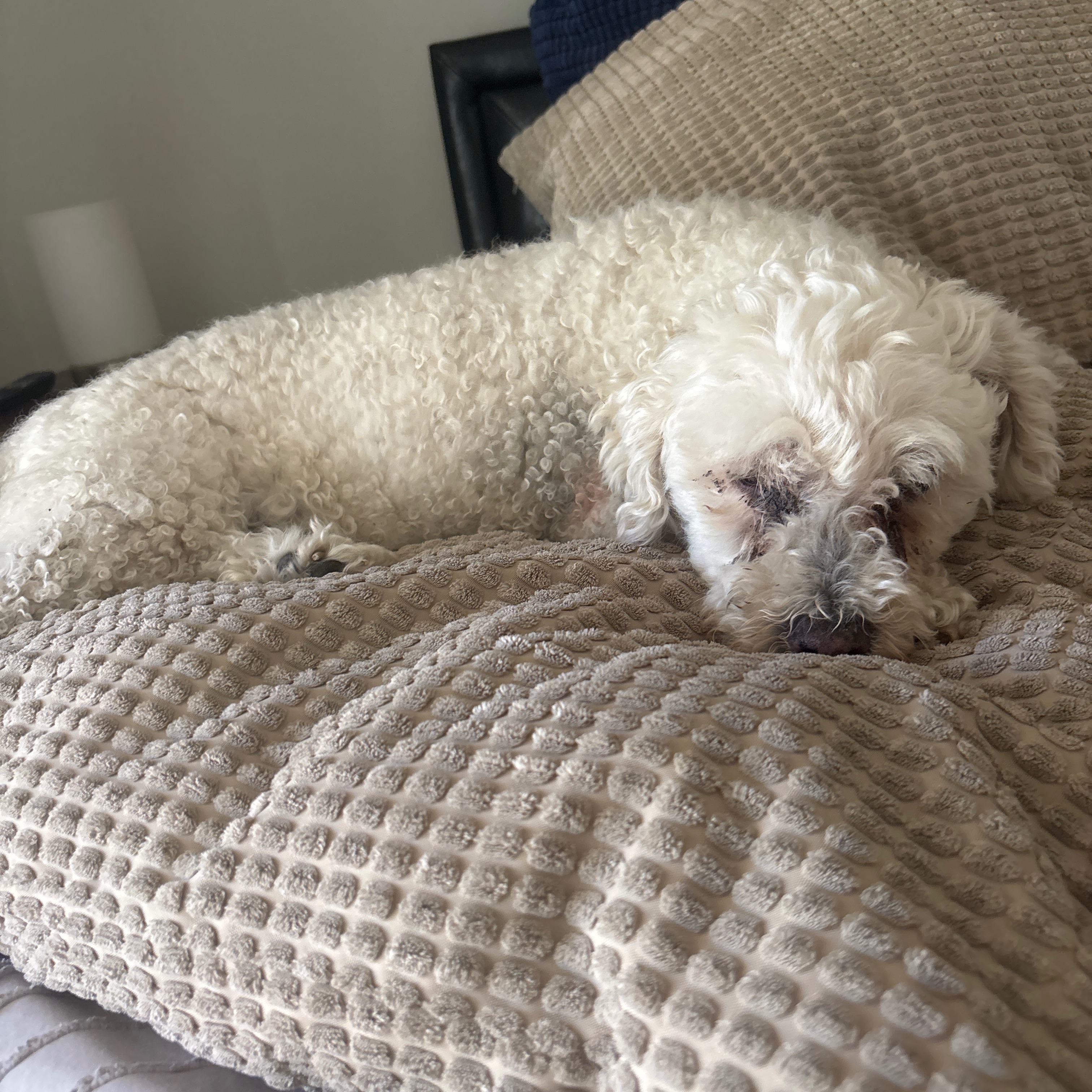 Charlie