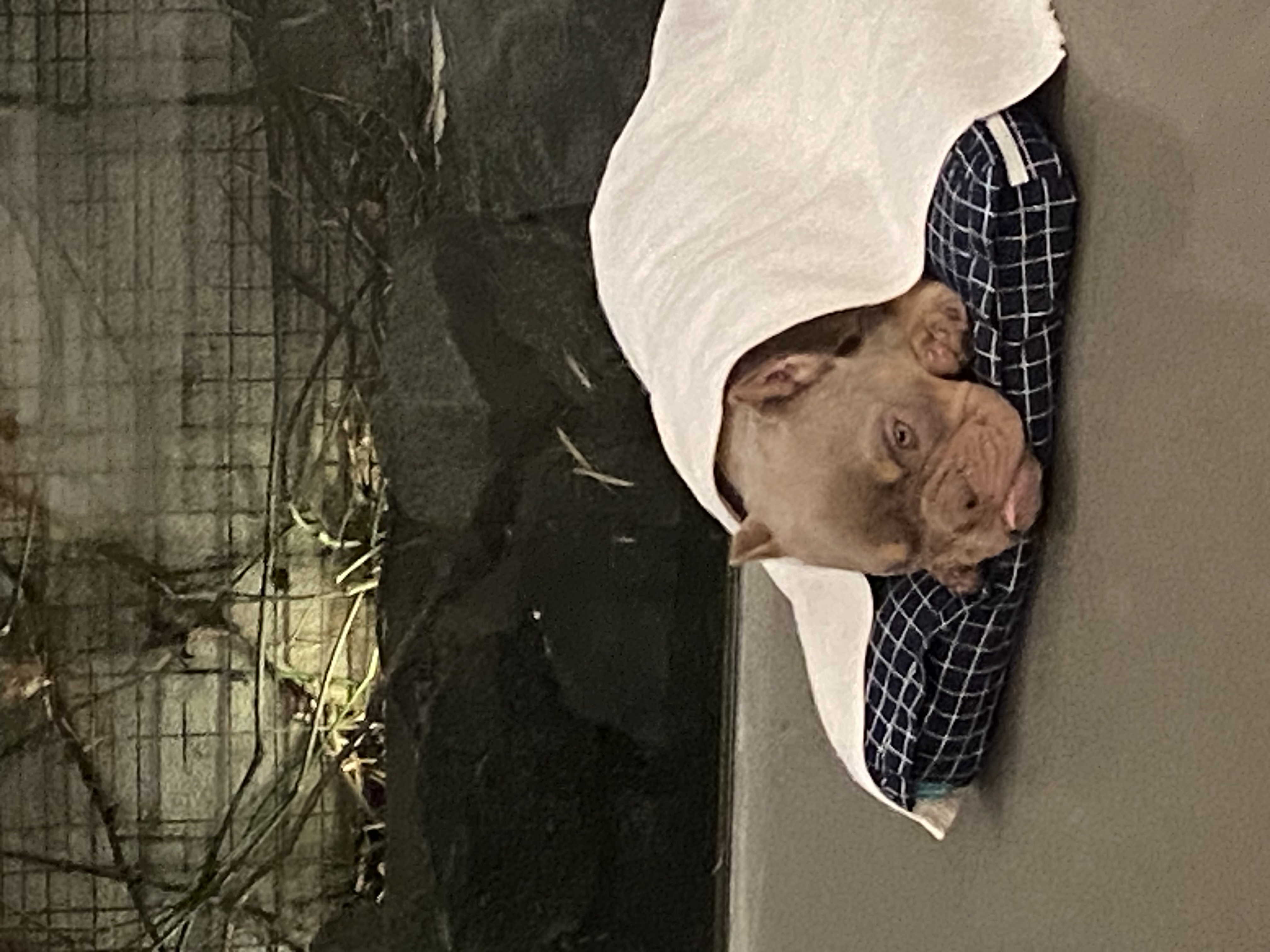 image-8