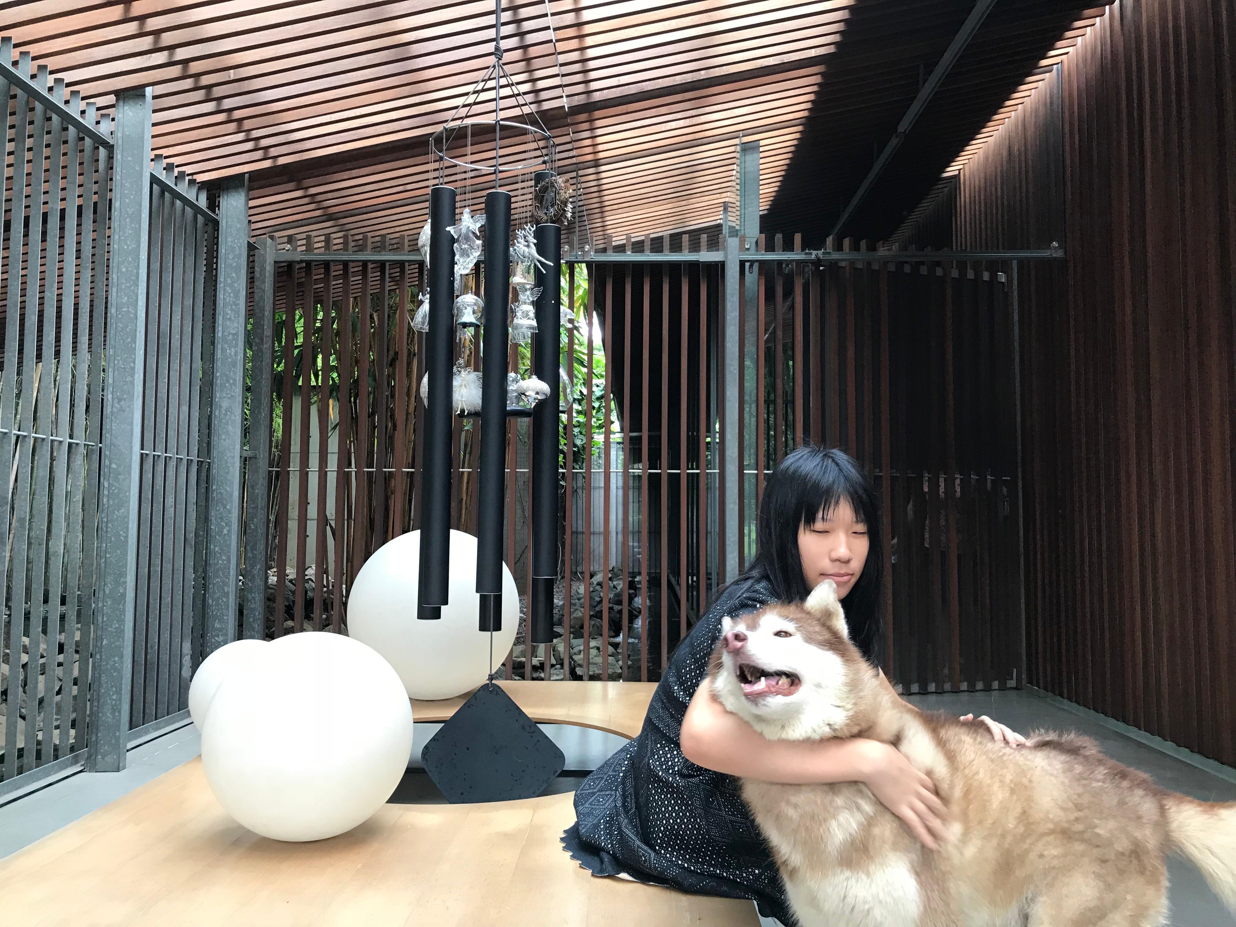 image-15