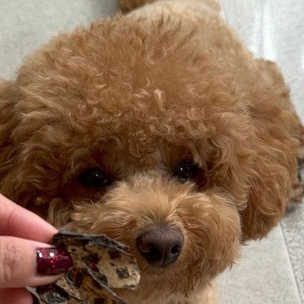 Bella