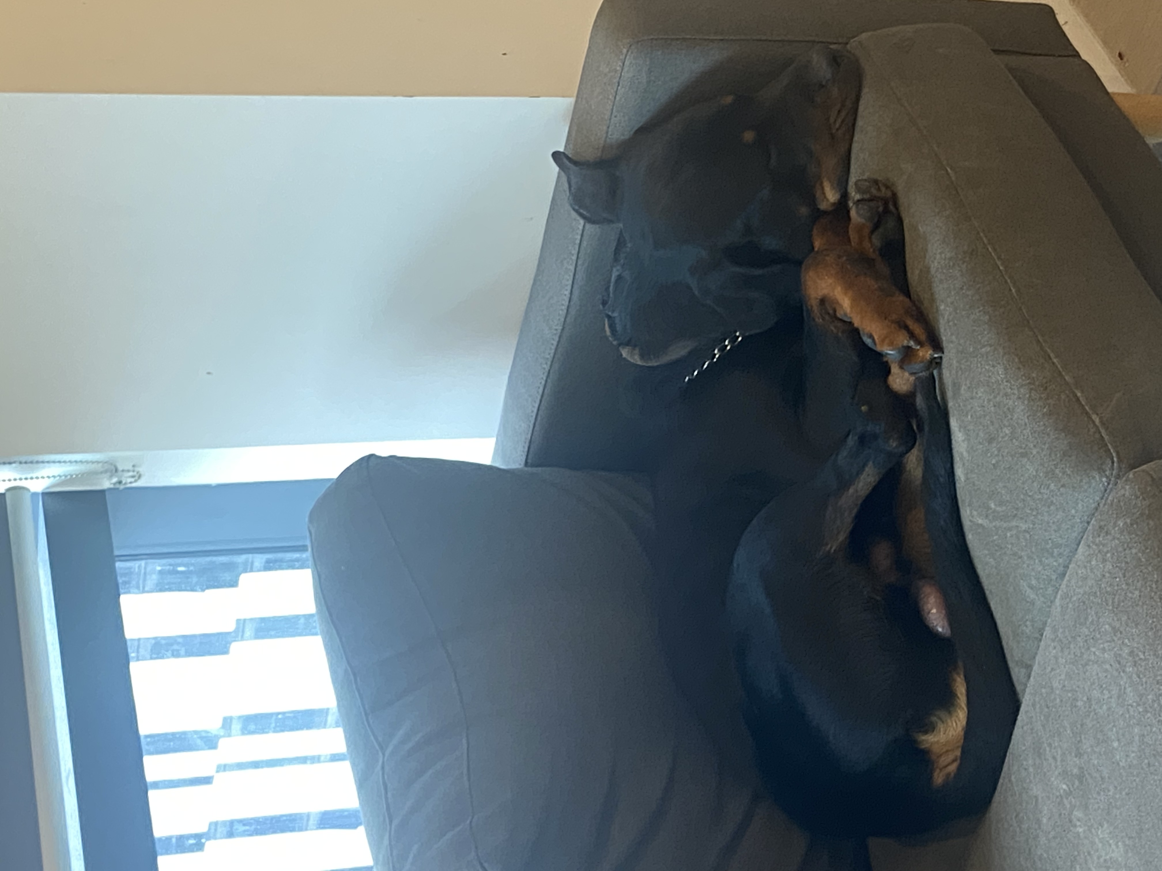 image-7