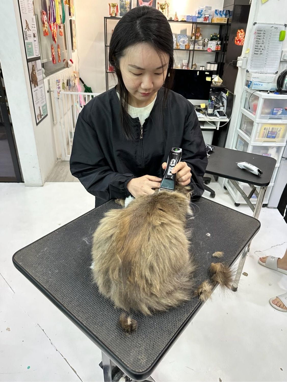 image-7