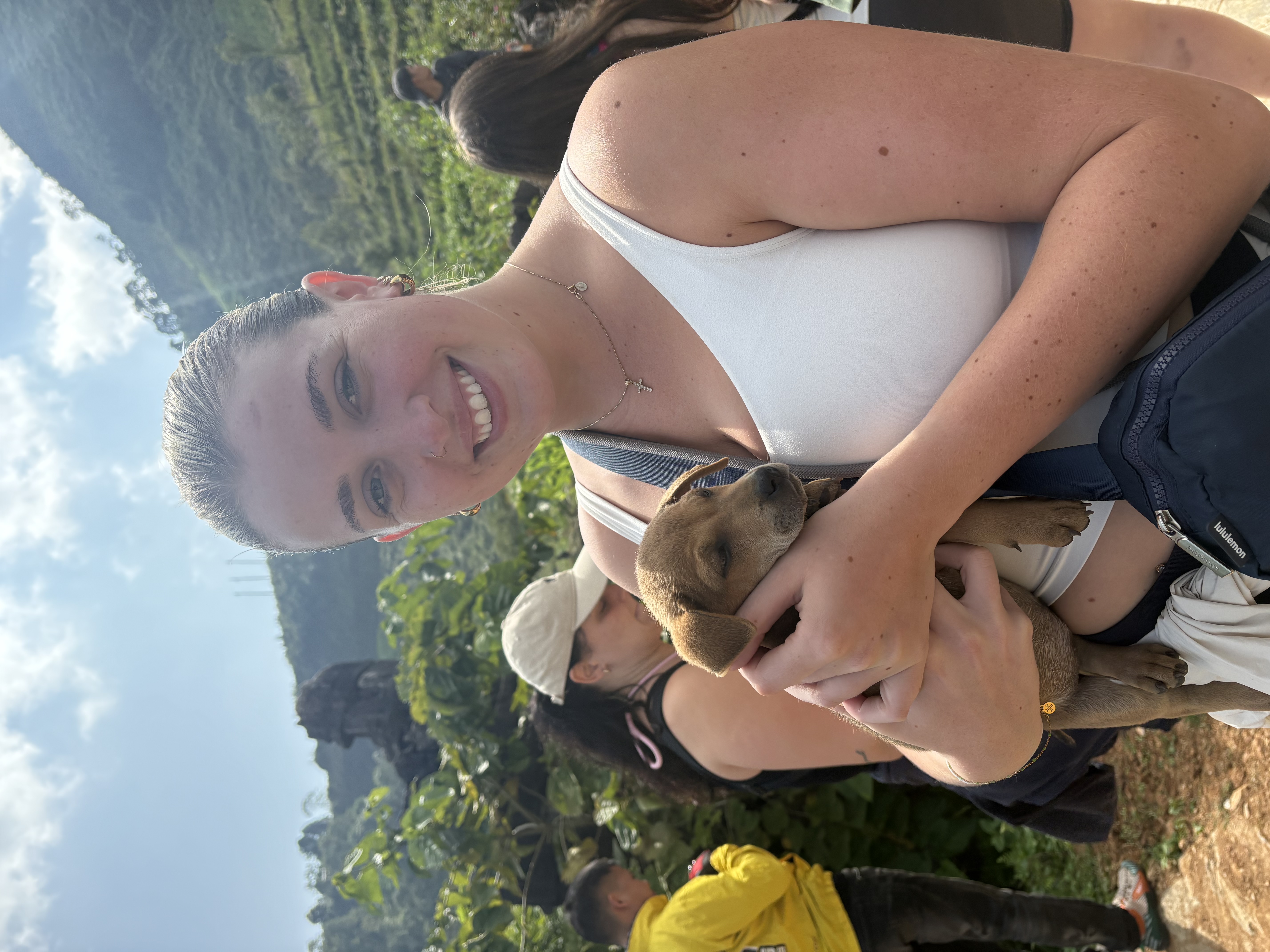 image-8