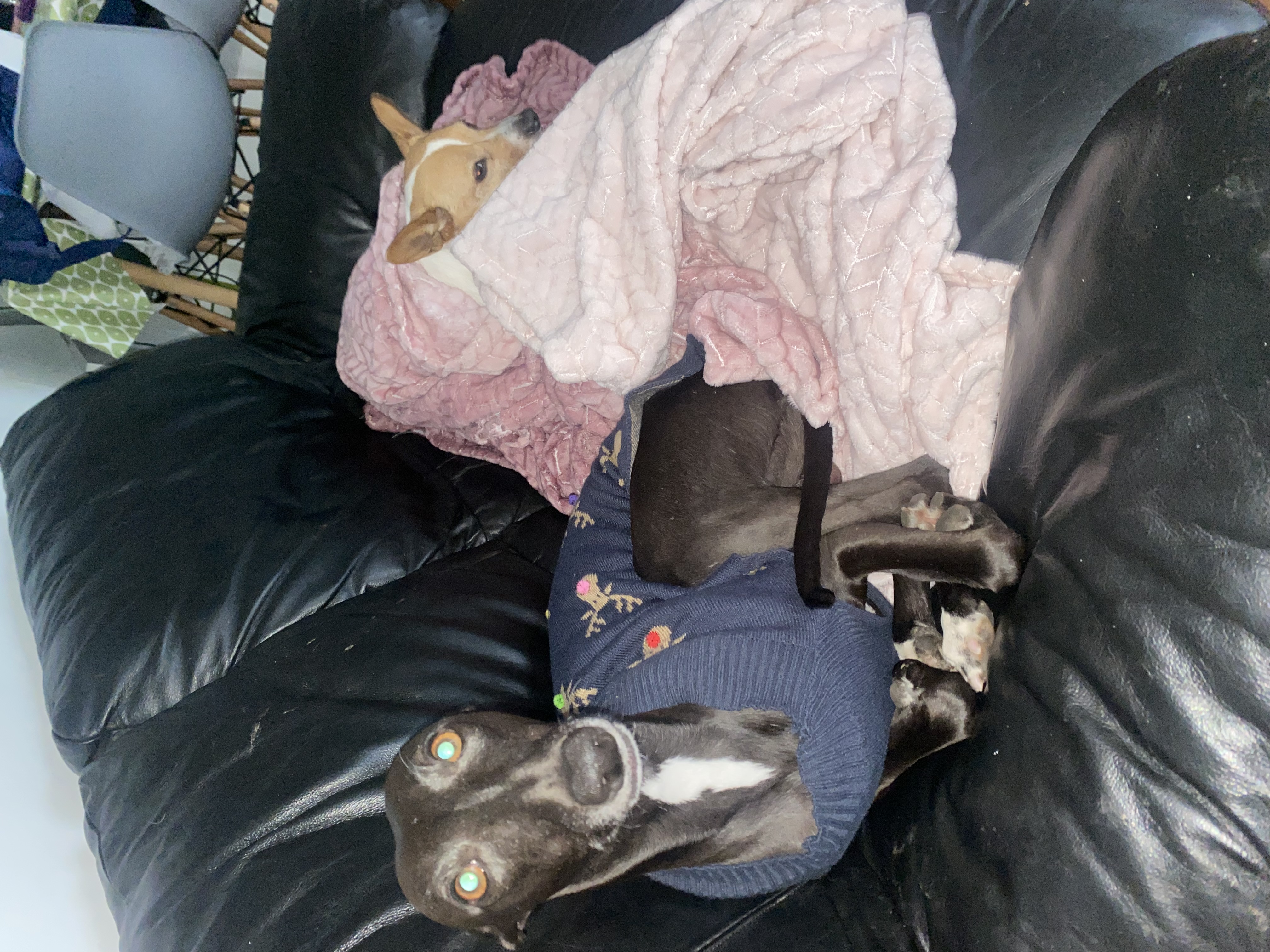 image-12