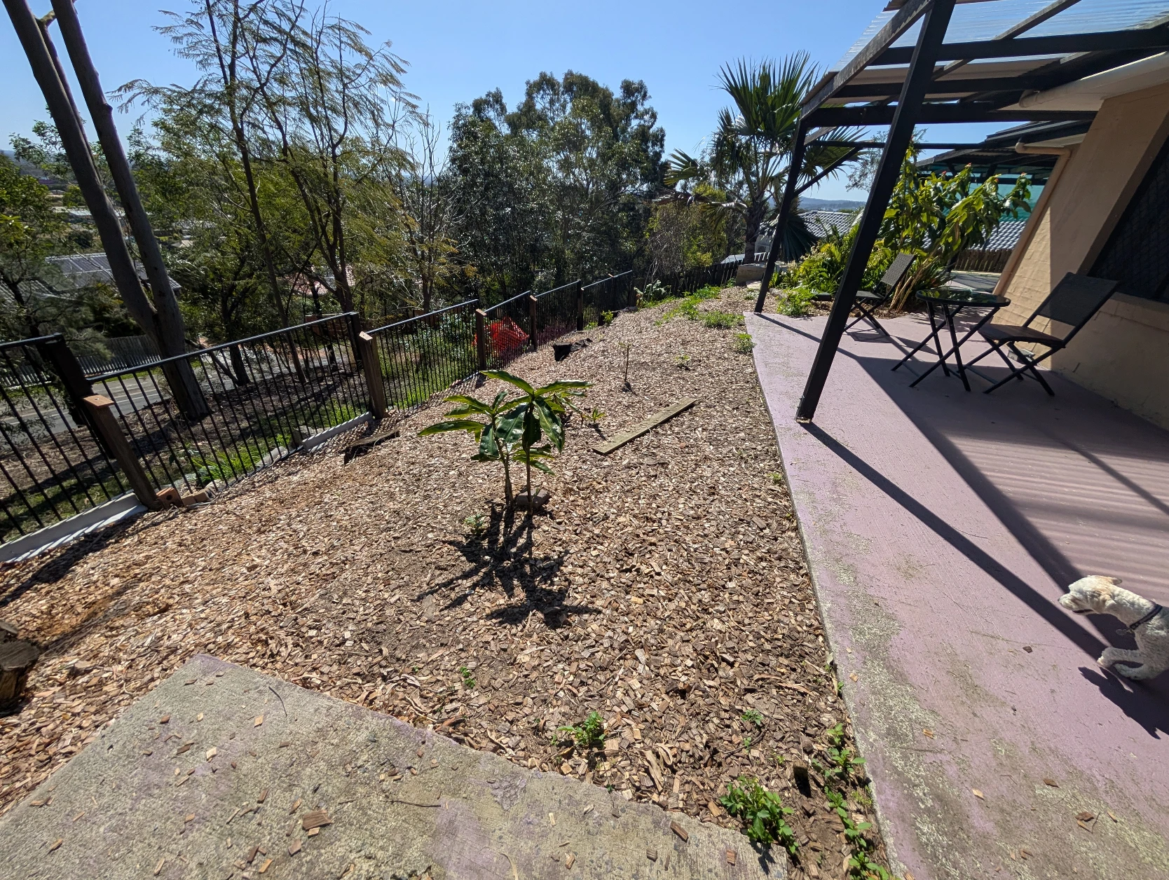 image-8