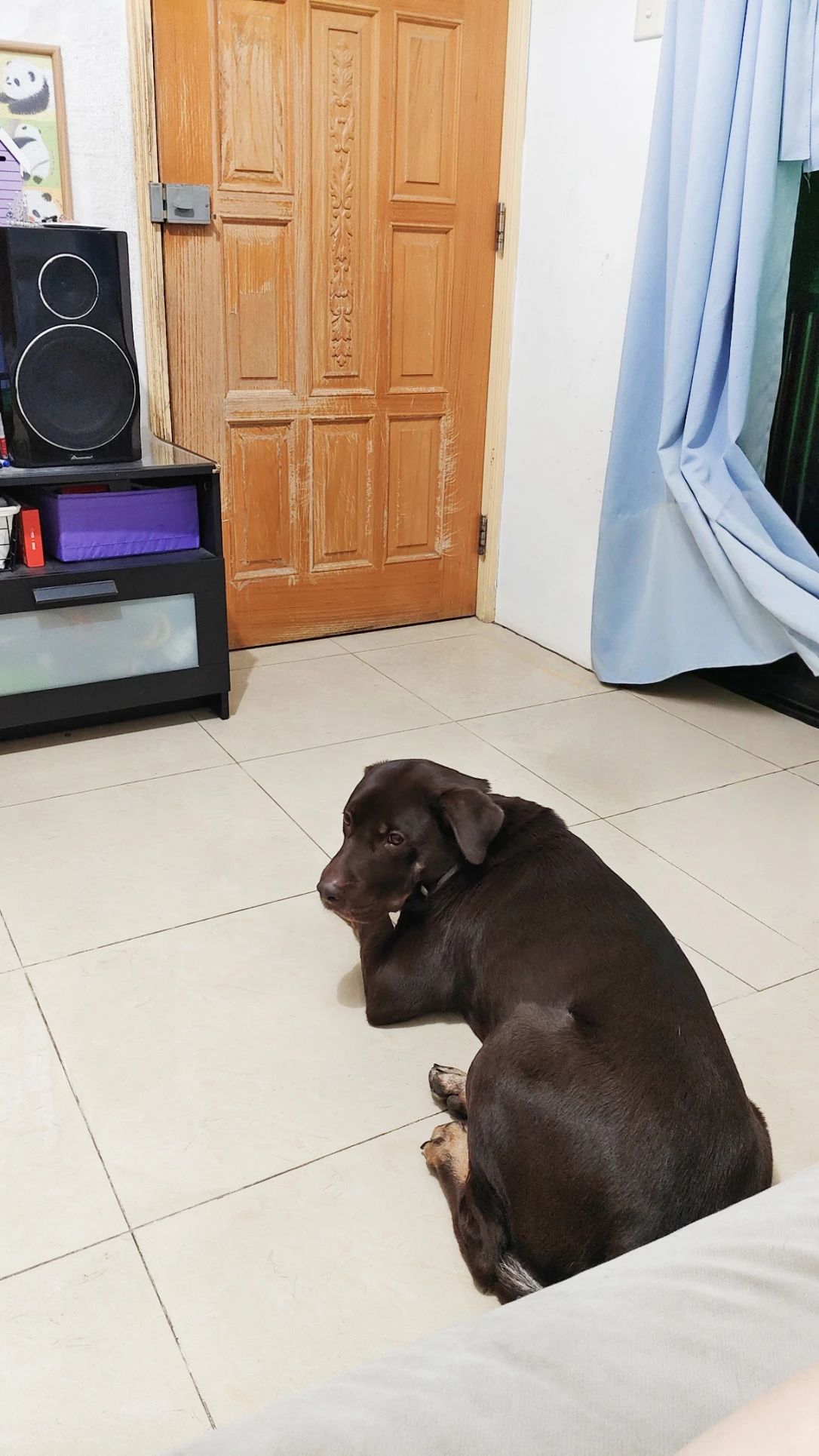 image-12
