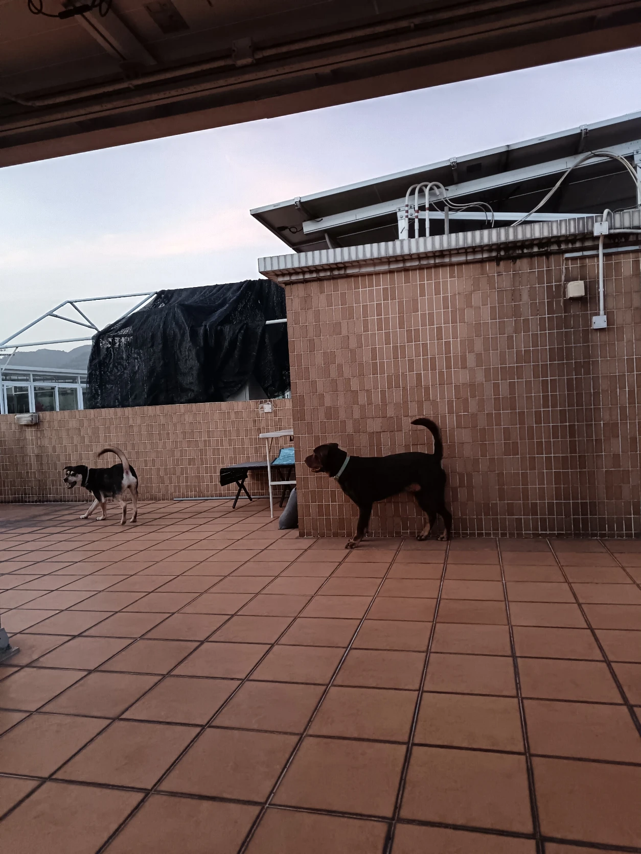 image-22
