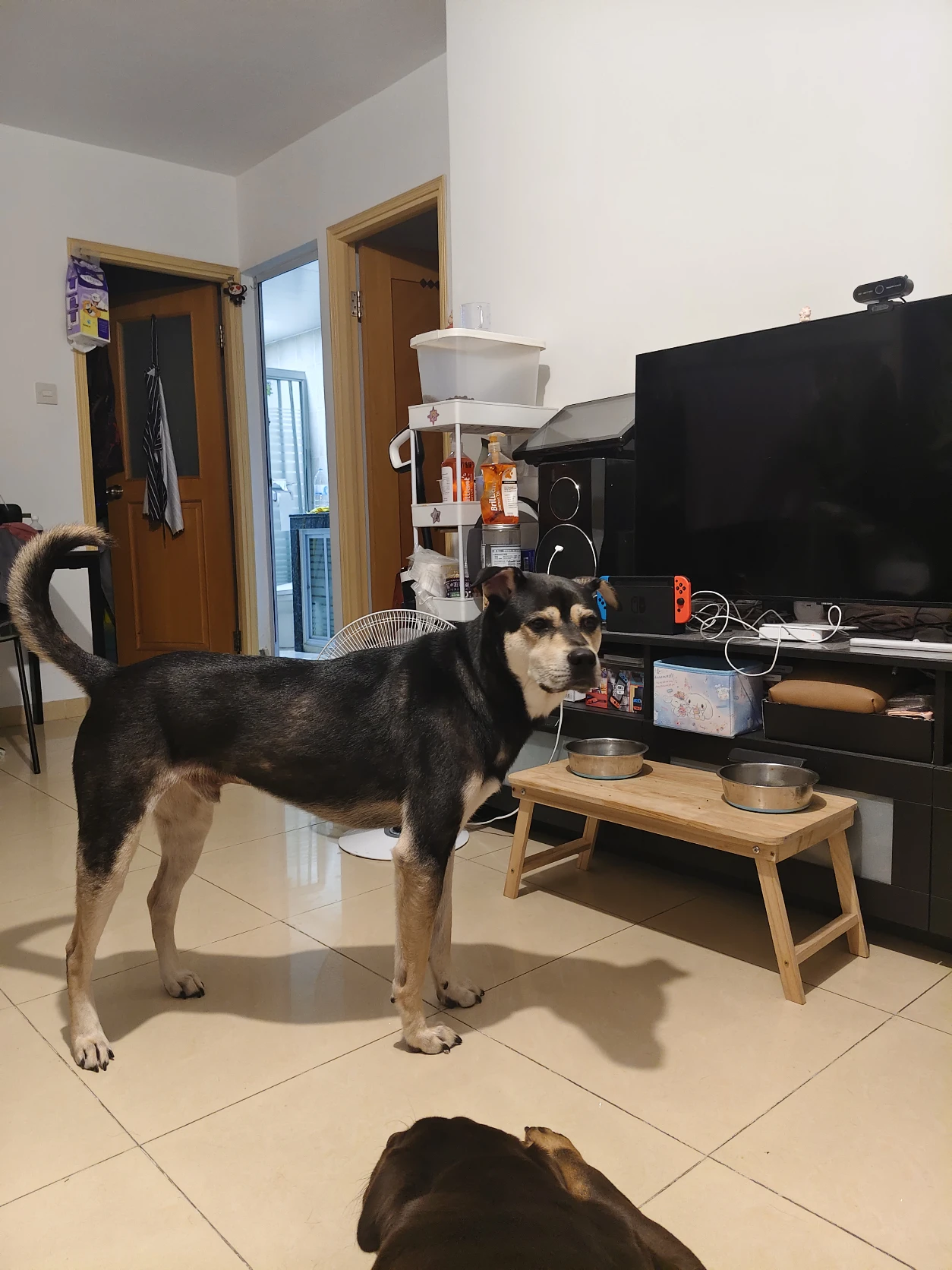 image-20