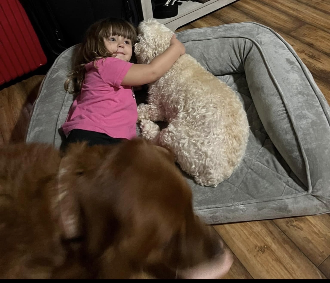 image-42