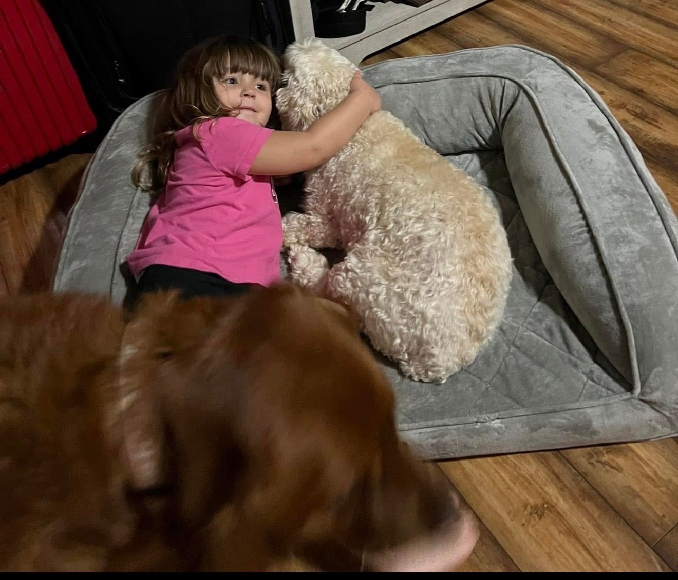 image-42