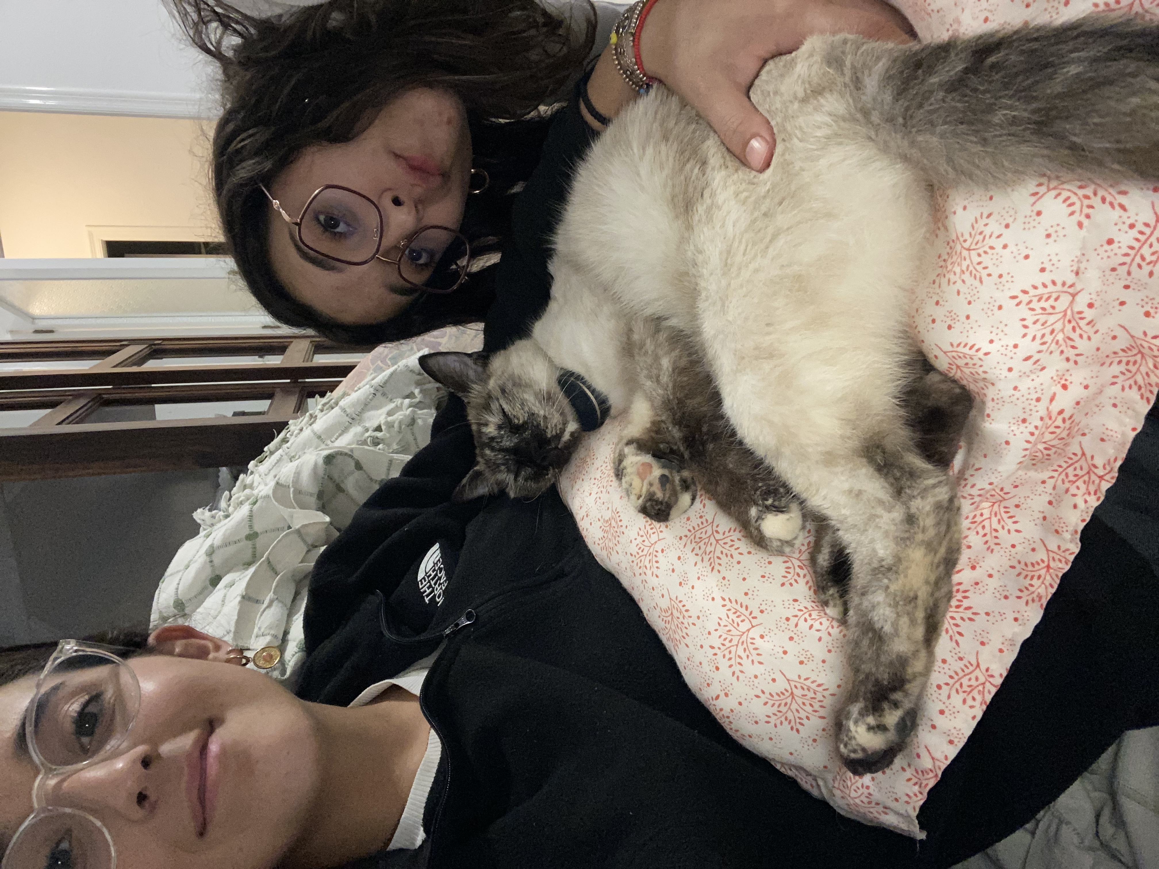 image-6