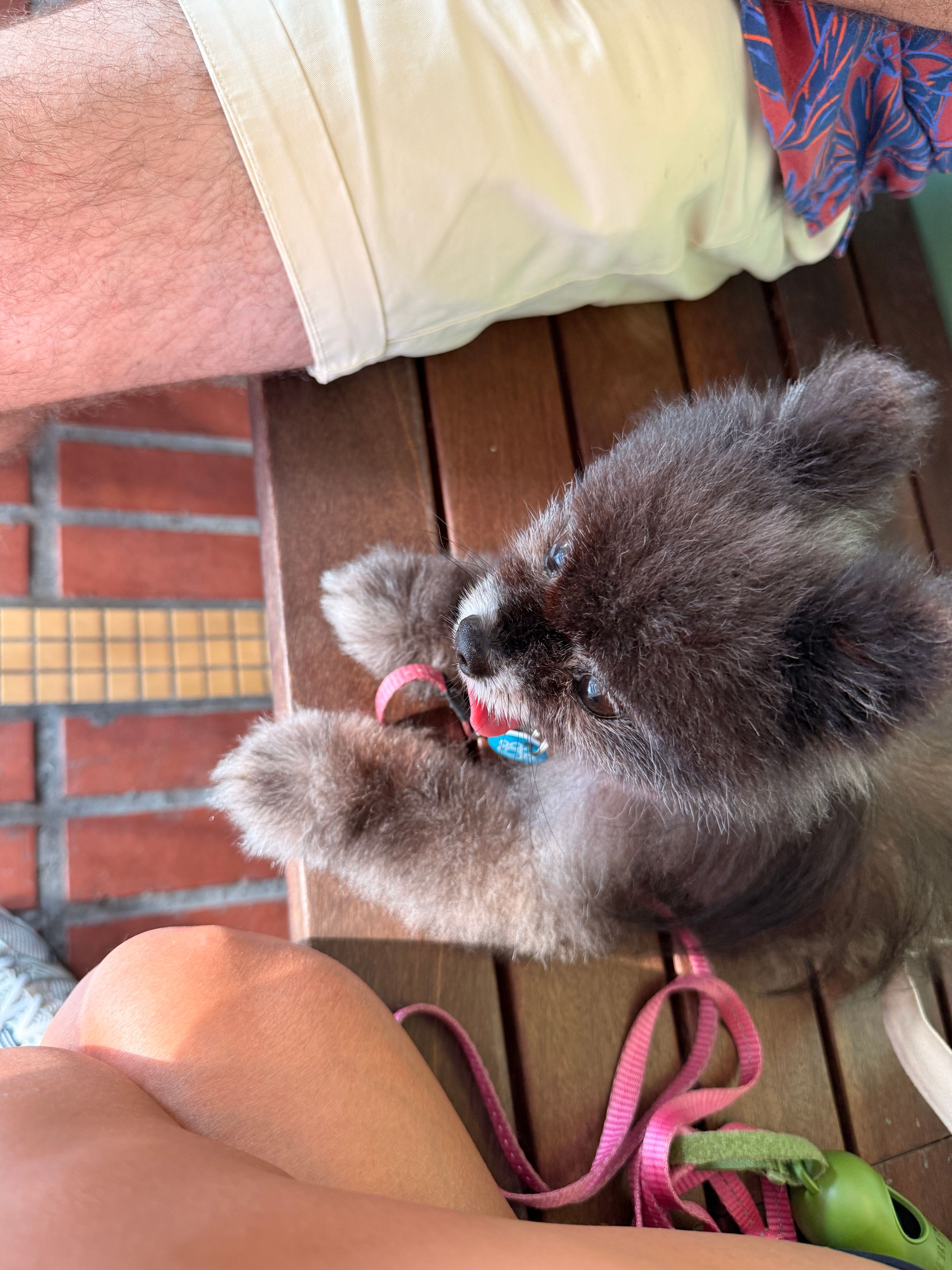 image-7