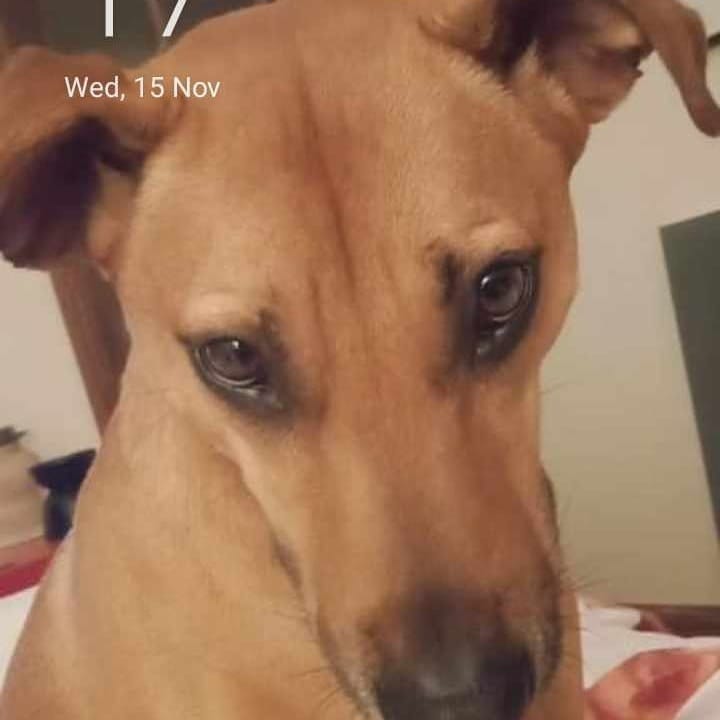 Bella