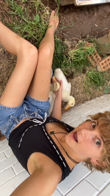 image-4