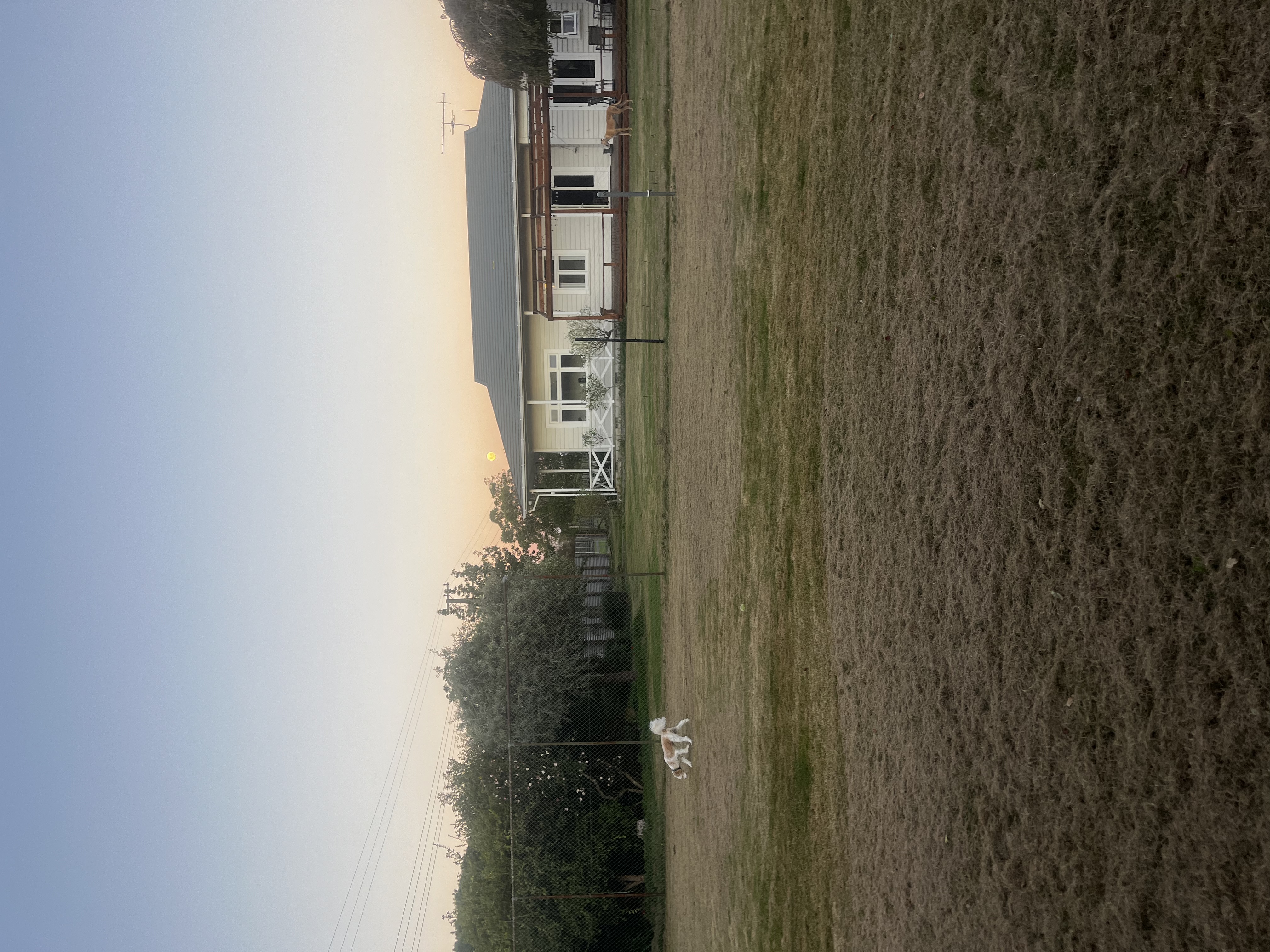 image-18