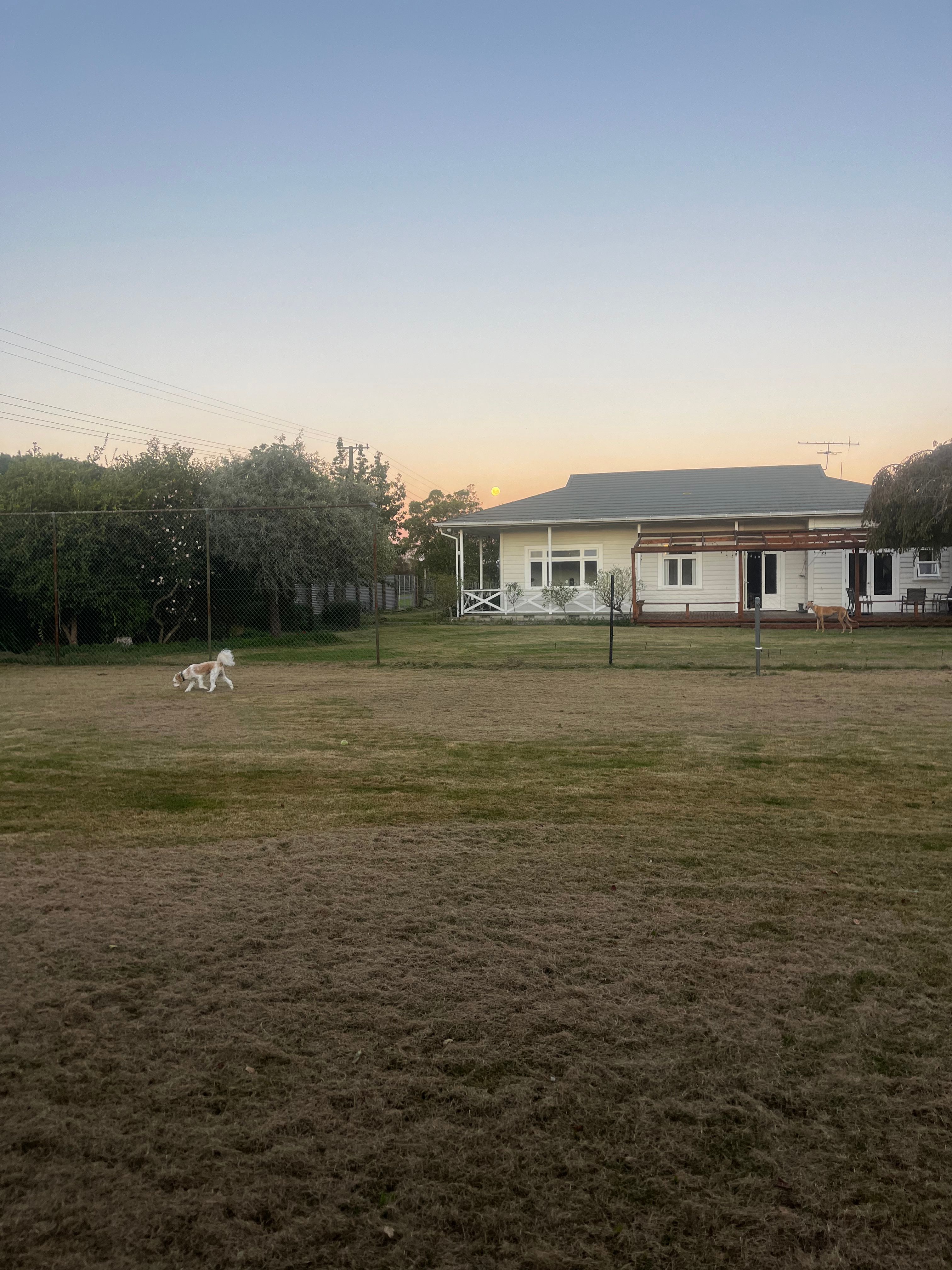 image-18