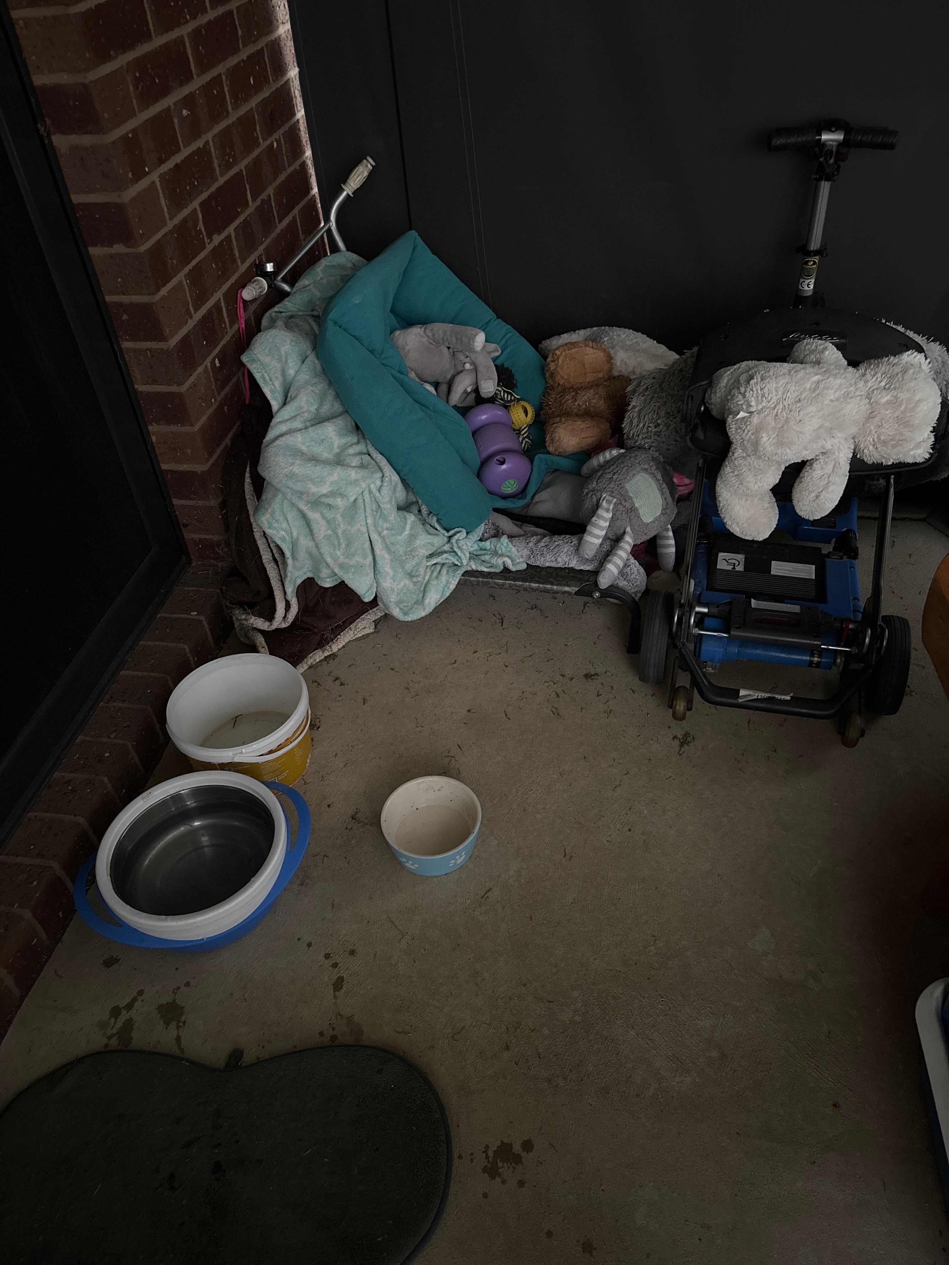 image-18