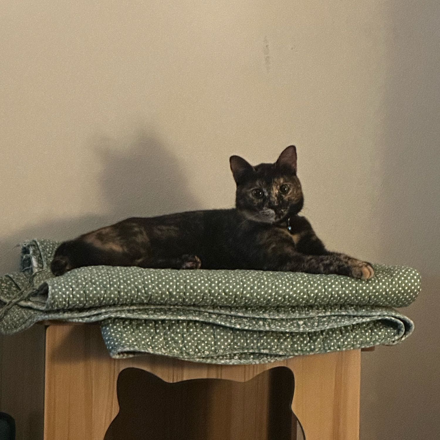 Ellie