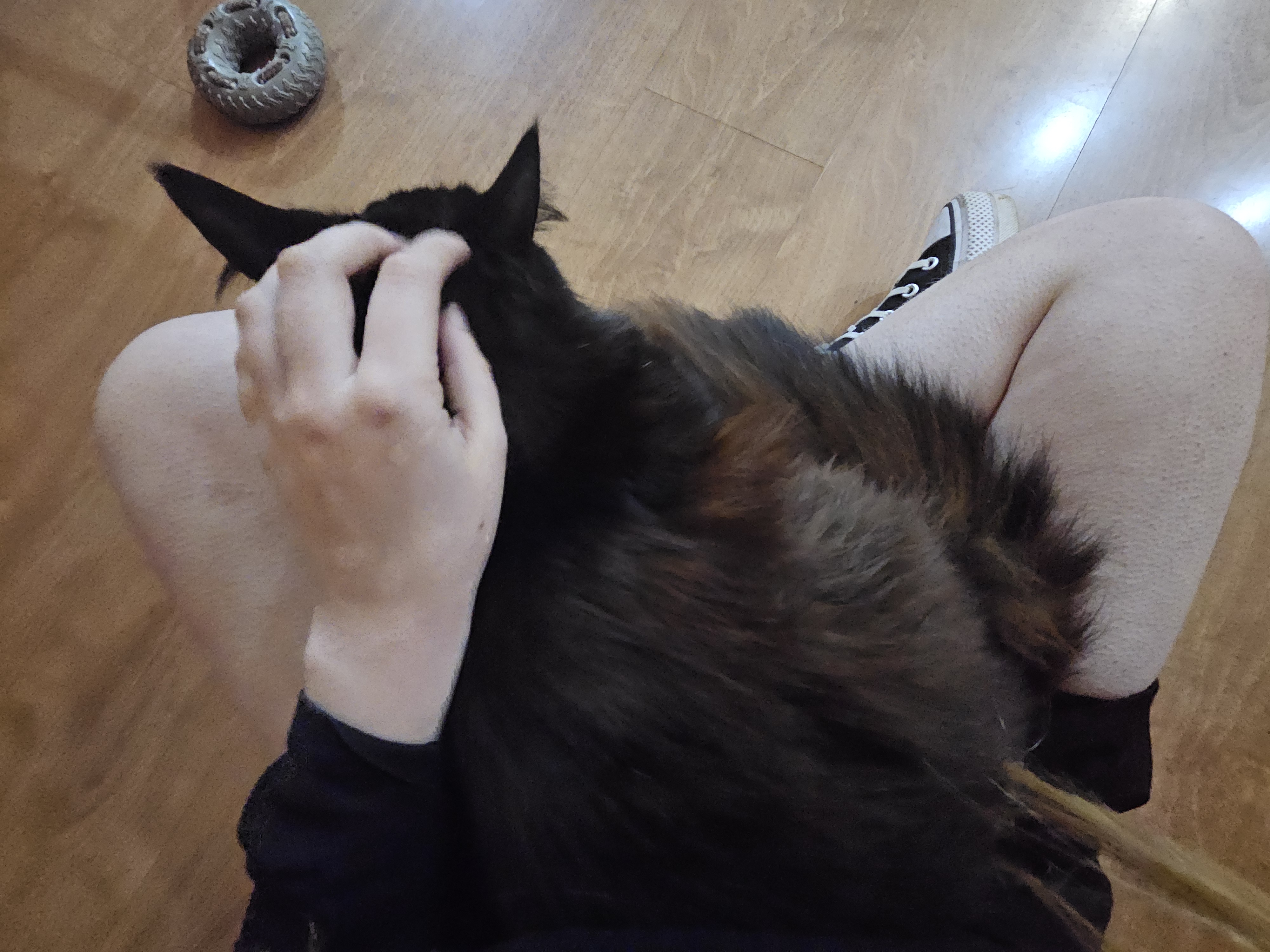 image-5