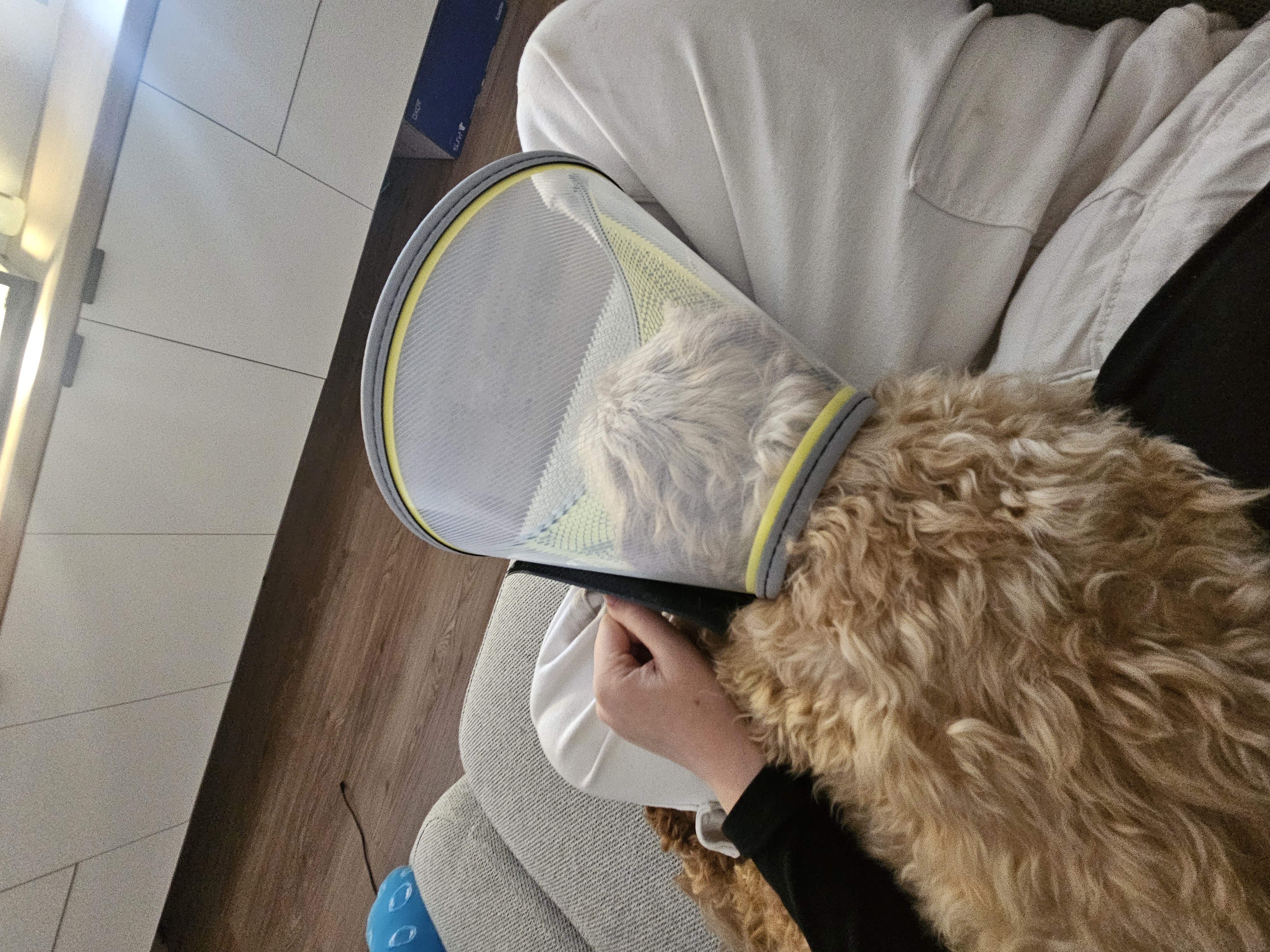 image-7