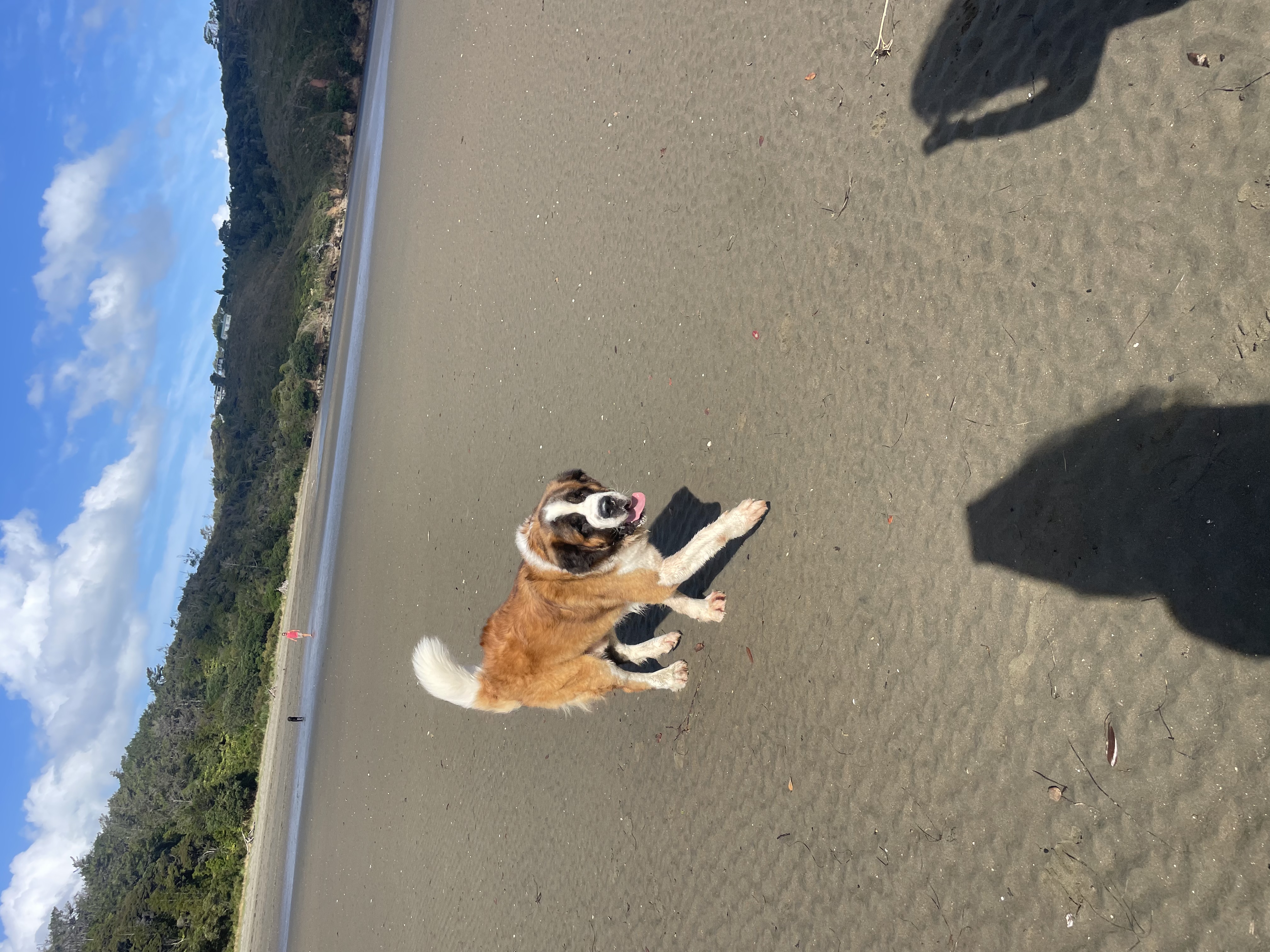 image-8